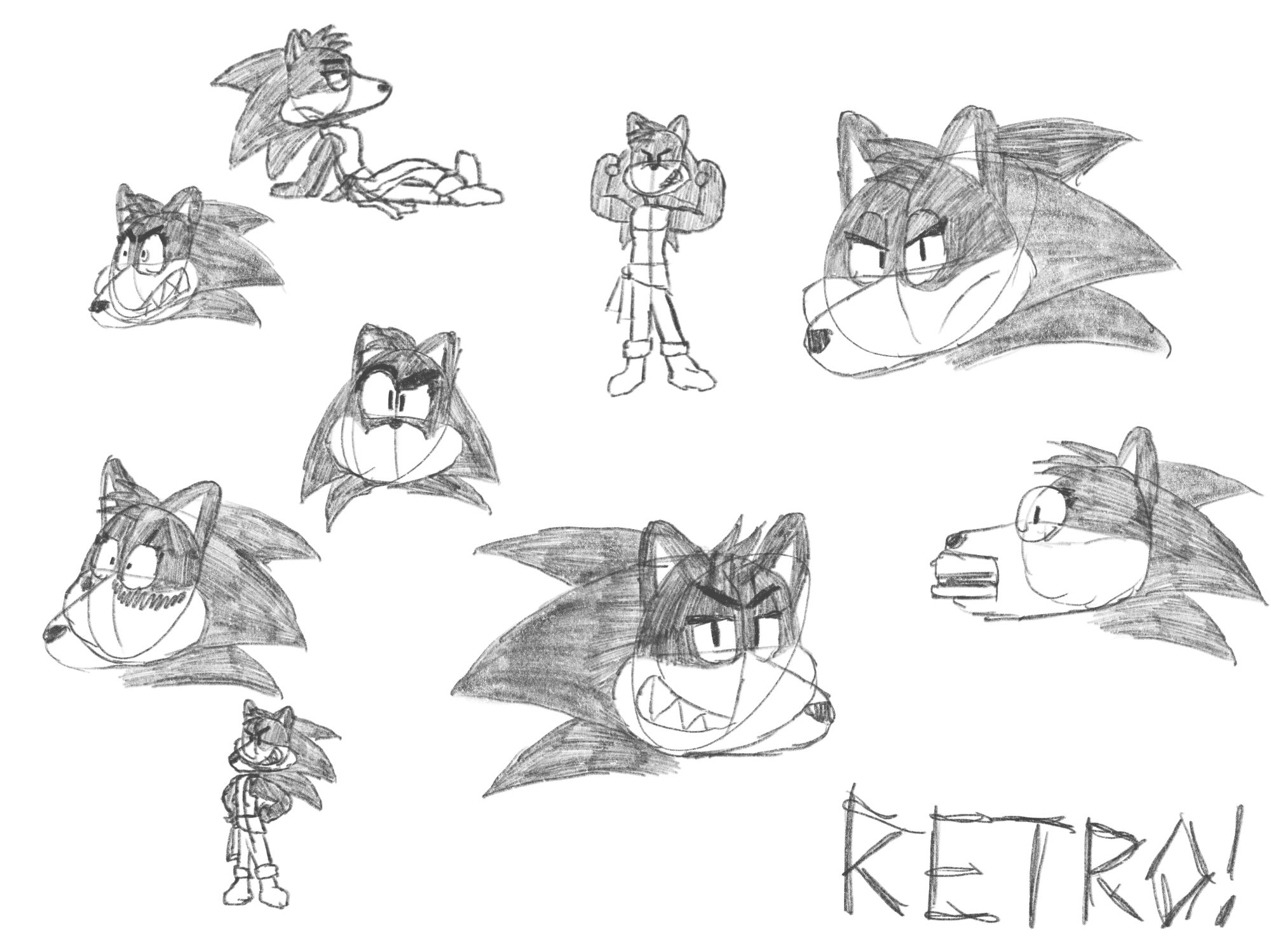 Retro the stoic hedgehog