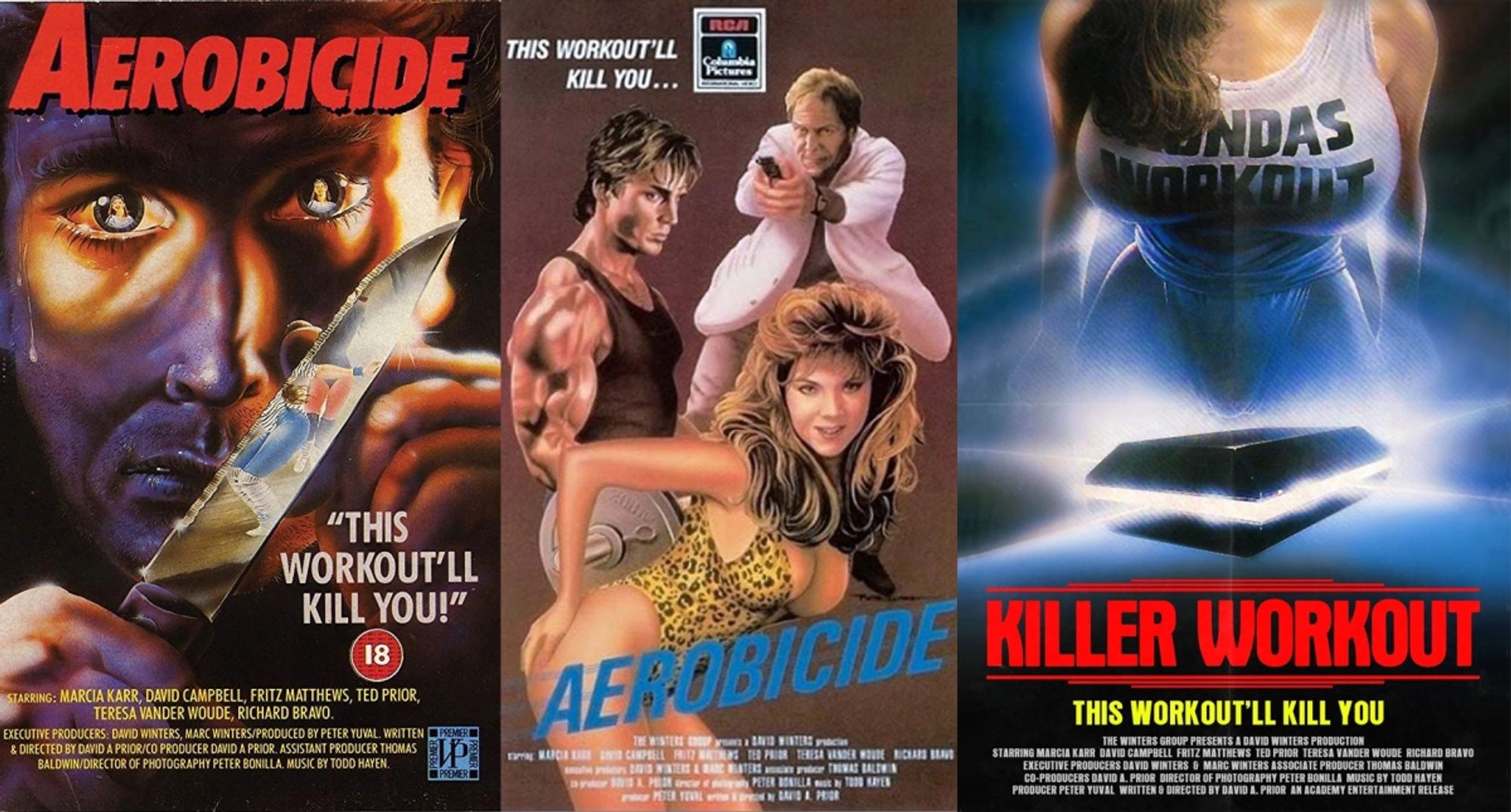 All of the original covers of the movie titled both "Aerobicide" and "Killer Workout"