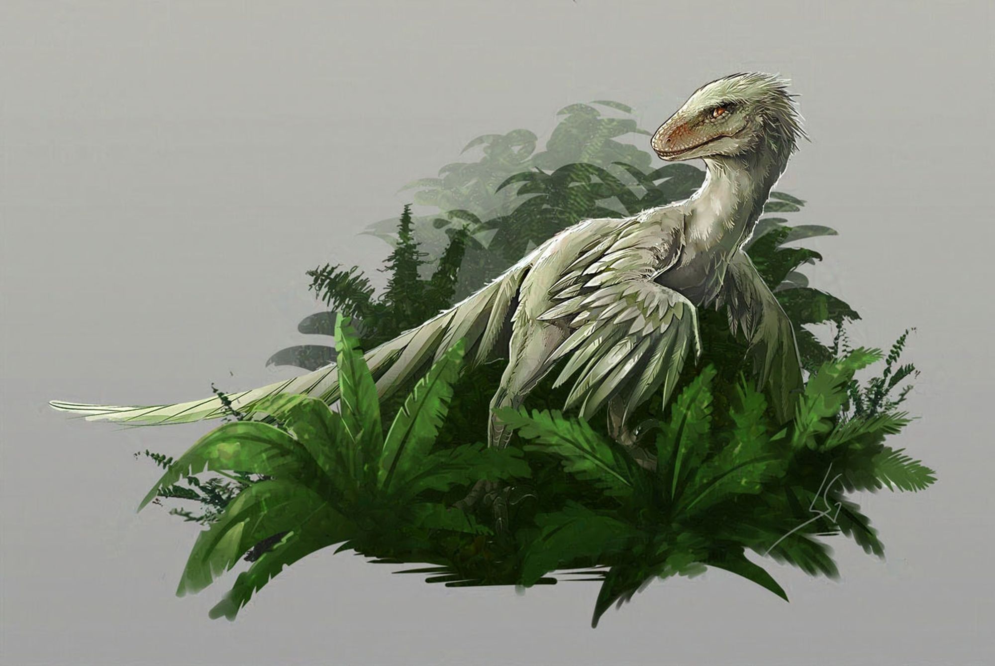 Digital art of white dinosaur deinonychus antirrhopus standing on forest floor