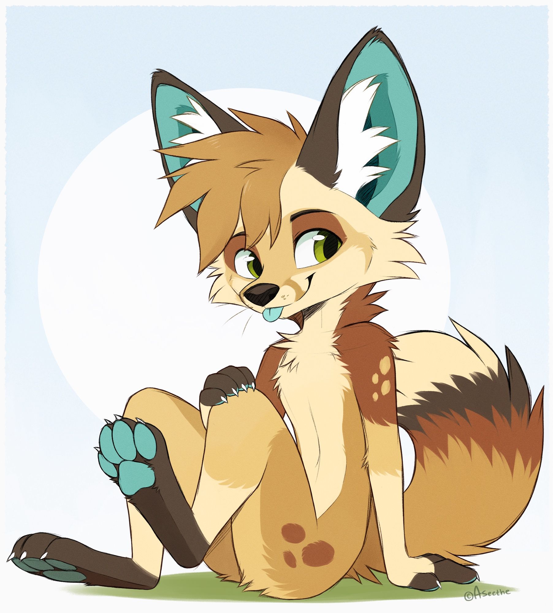 Riko (fennec fox) sitting cute and showing off the goods (feet paws)