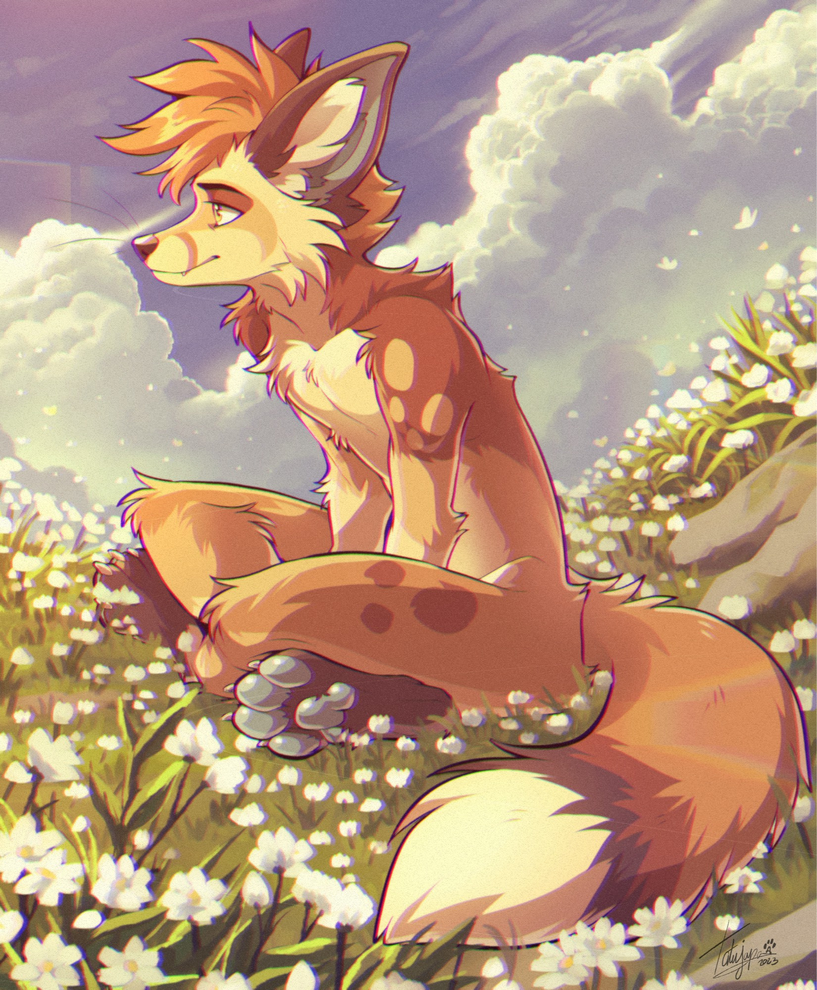 Riko the fox sitting in a beautiful field with his legs crossed. Art is rendered in a retro anime style