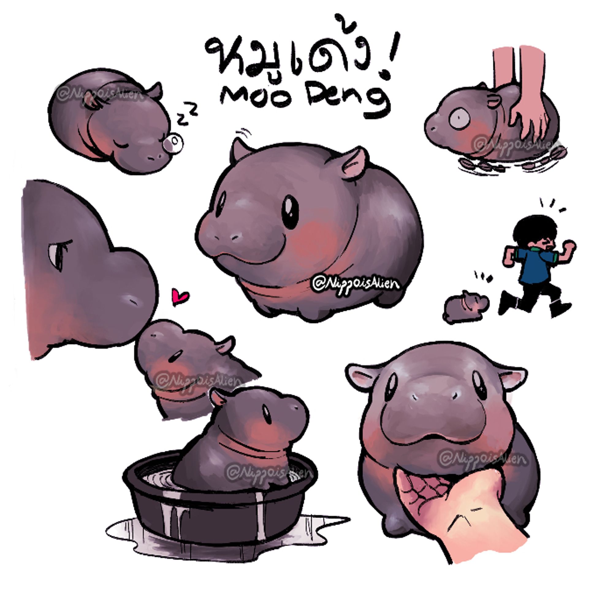 a bunch of Moodeng the baby pygmy hippo fanarts! featuring the zookeeper Benz, running/playing around with her, did you know that the zookeeper used to take care of many baby hippos before? the first one is named Khamoo and they play around like this! (warning! hippo is dangerous animal, only the expert can approach them)