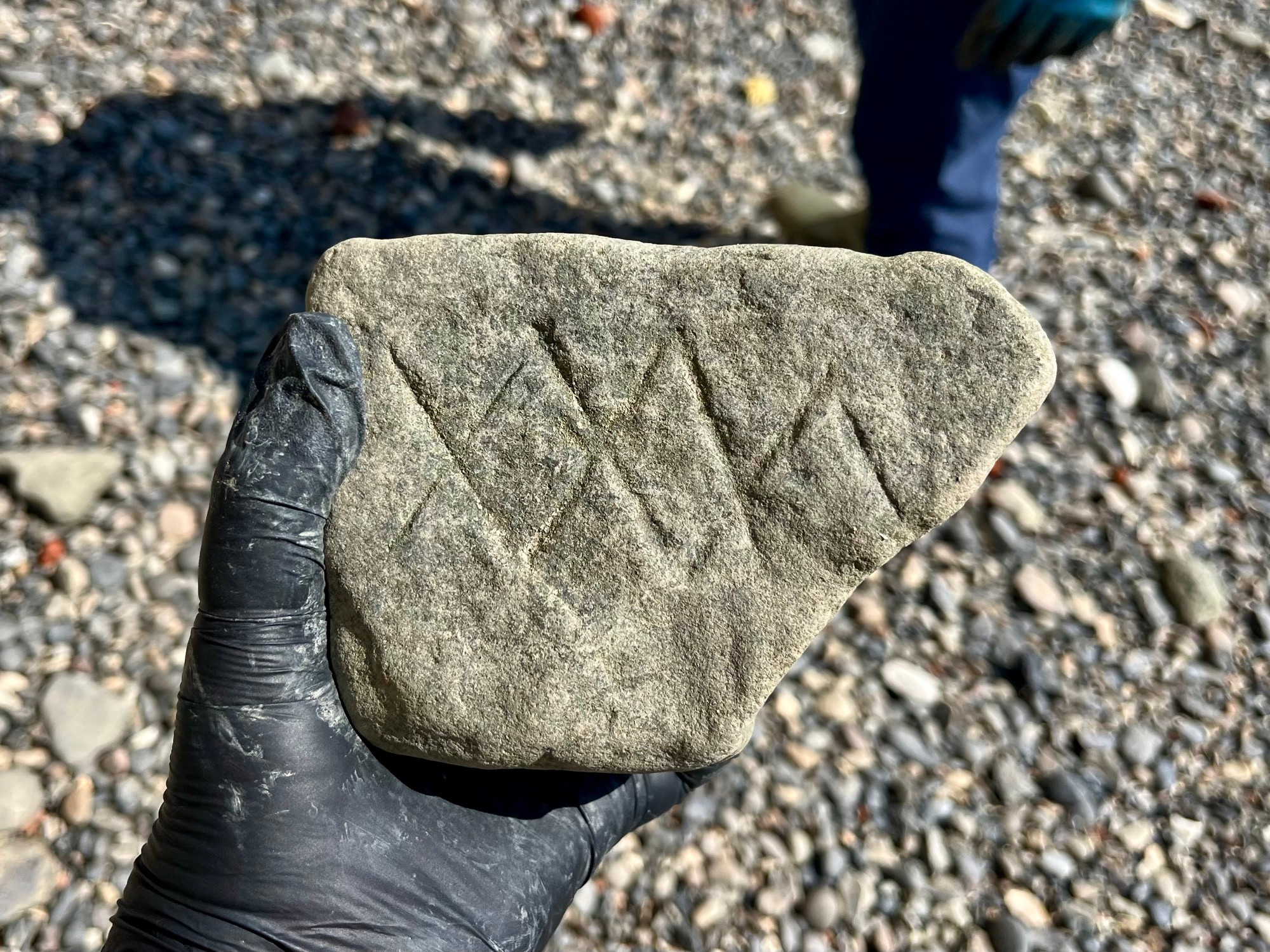 A chunk of foreshore stone with some mason’s marks in the form of crosshatching visible deep in the fabric. This has come from some long list river steps nearby. 