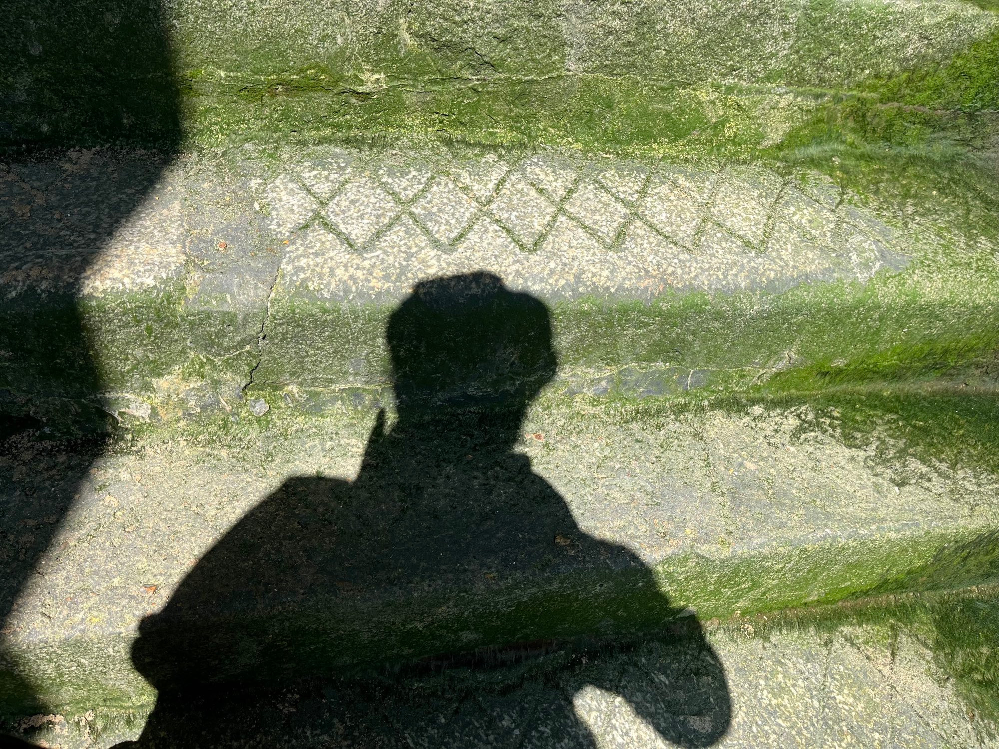 New Crane steps, Wapping. My shadow crisply visible against the algae-covered stone as I take a photo of the crosshatching visible on the stairs. 