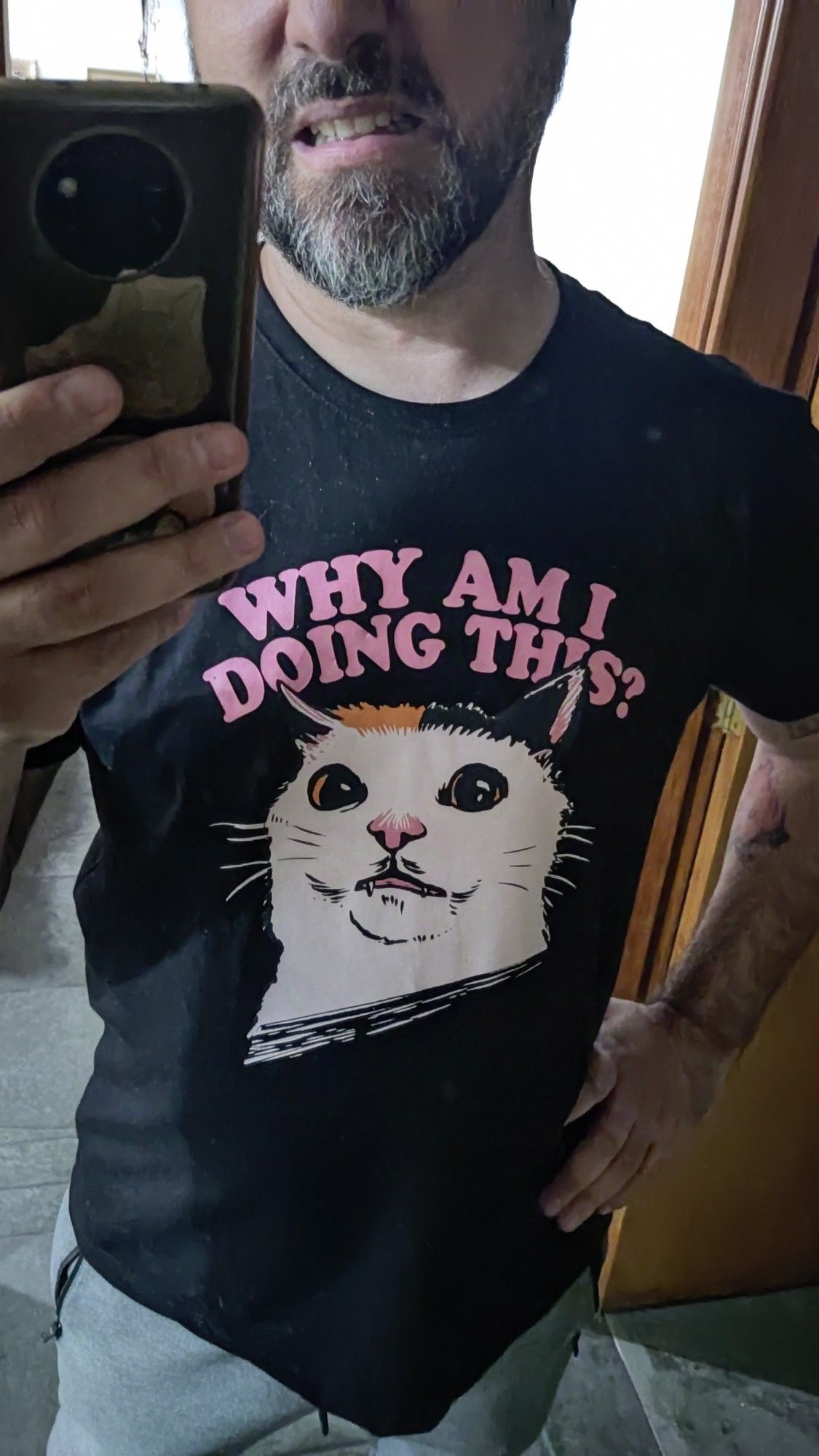 Foto minha no espelho usando uma camiseta escura, com a ilustração do rostinho de um gato contrariado. Em inglês, está escrito "por que estou fazendo isso?"
Aparece parte do meu rosto, e estou imitando o gato.