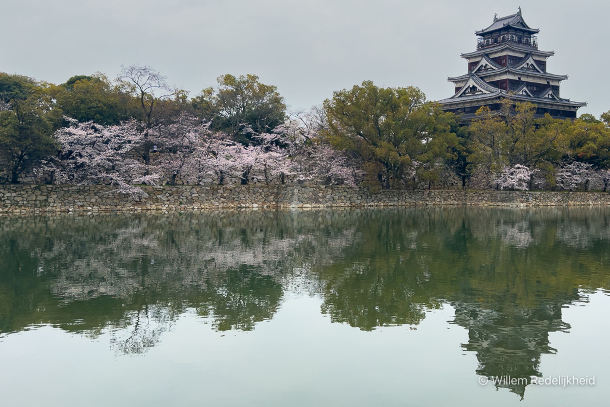 Hiroshima Castle (Japan) met kersenbloesem.