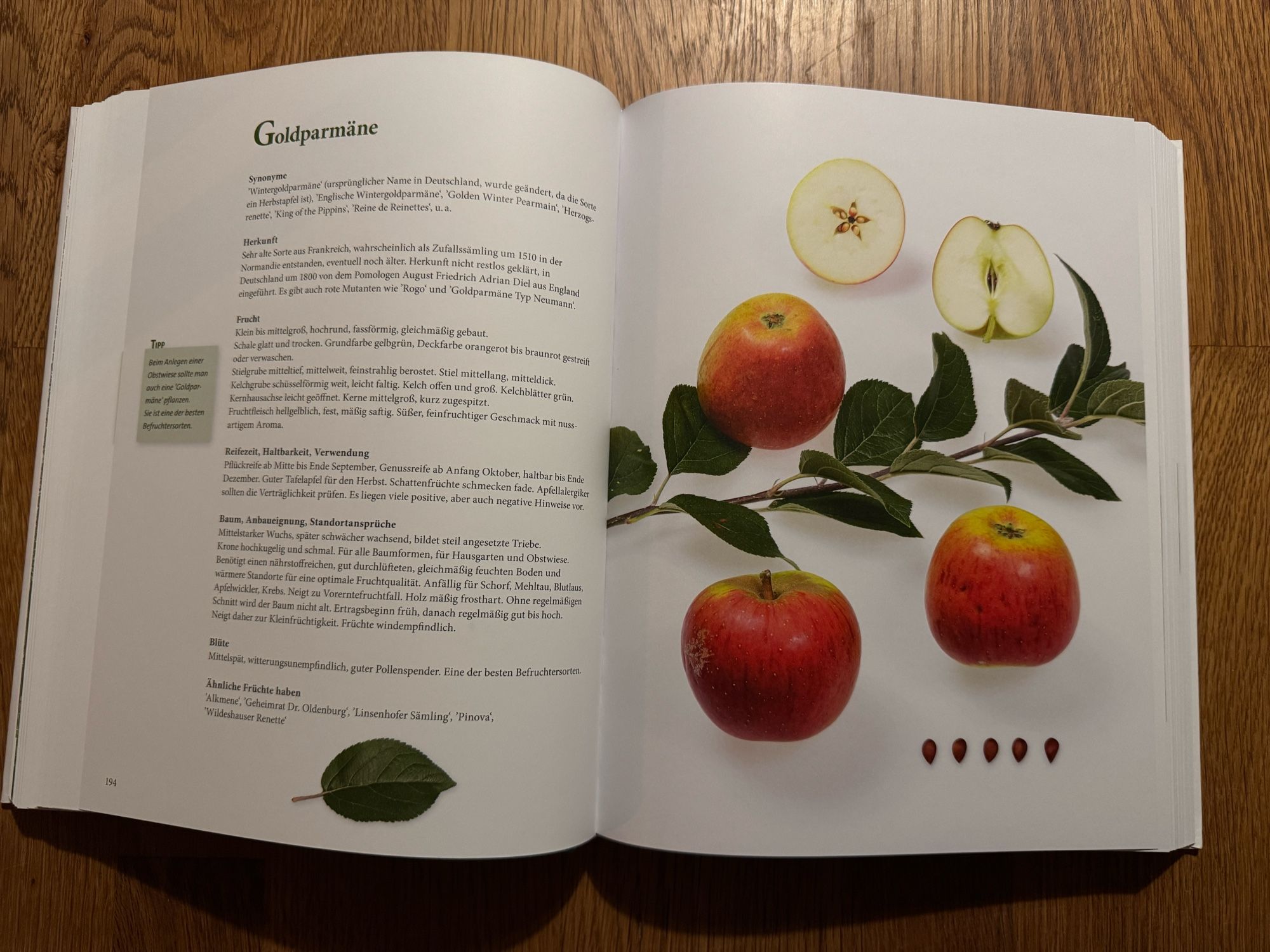 The pages describing Goldparmäne apples. Also known as King of the Pippins in English