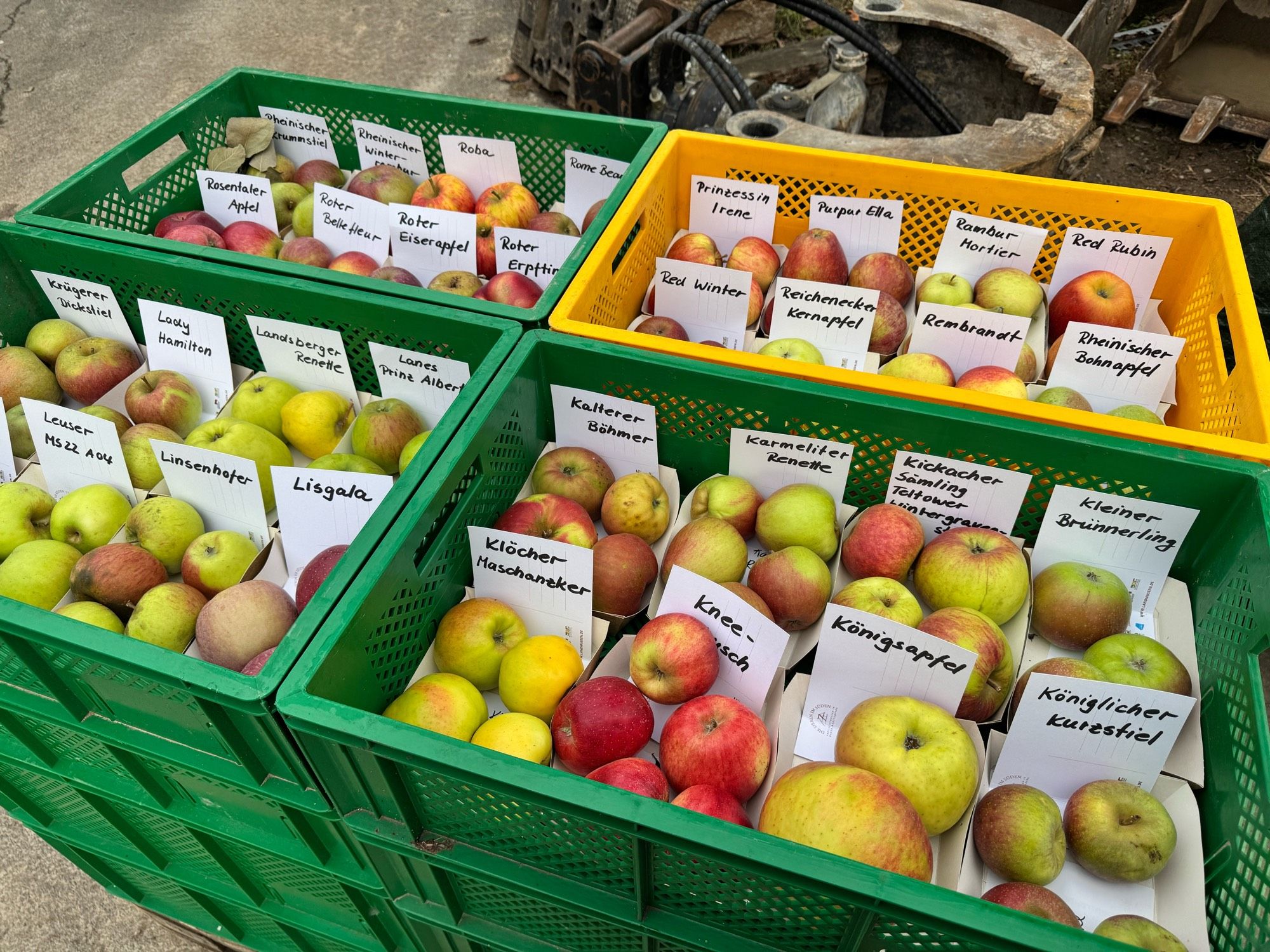 Four fruit crates each containing eight different prices of Apple labelled