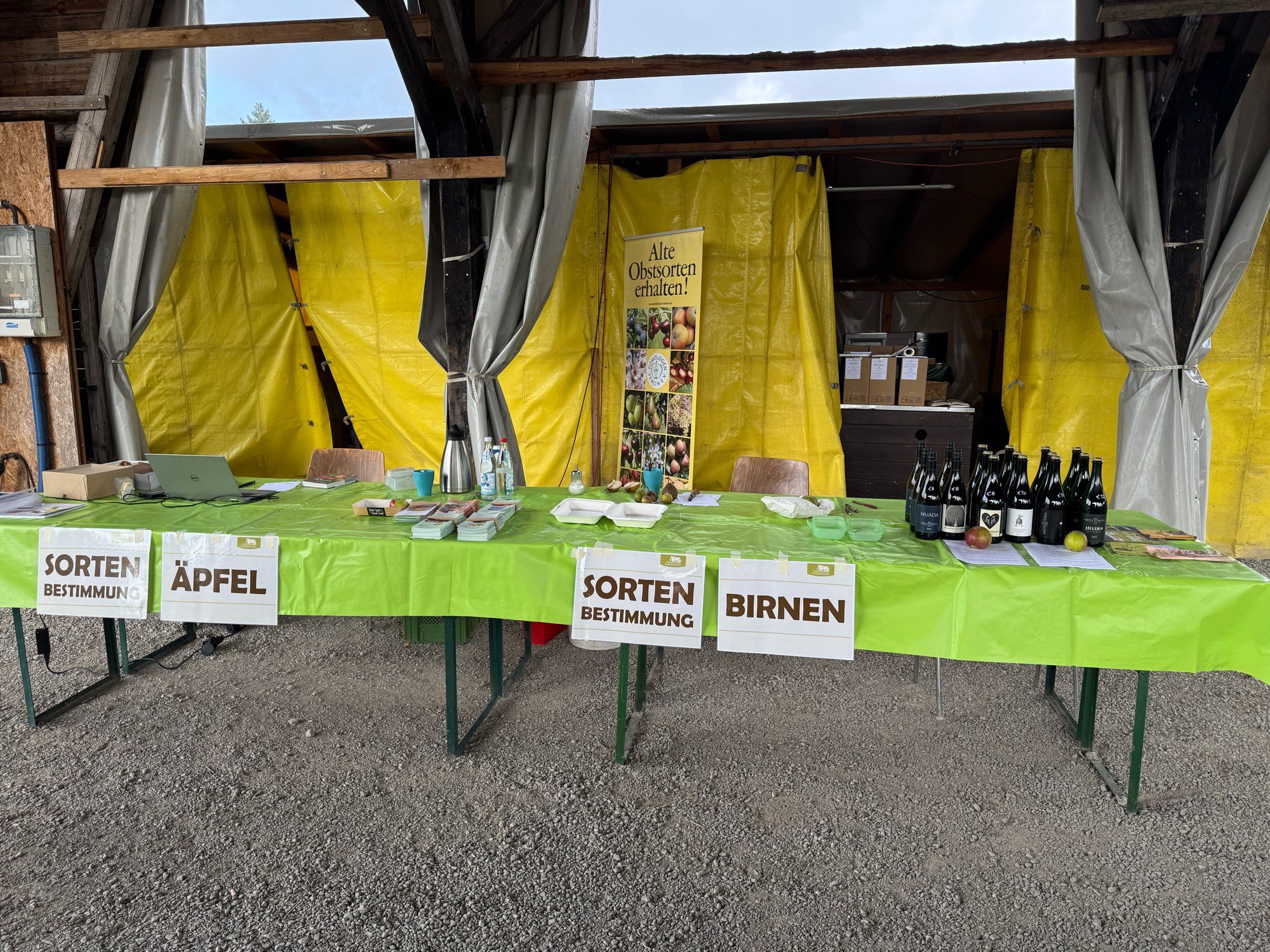 A long table with a green tablecloth and signs saying apple and pear variety identification