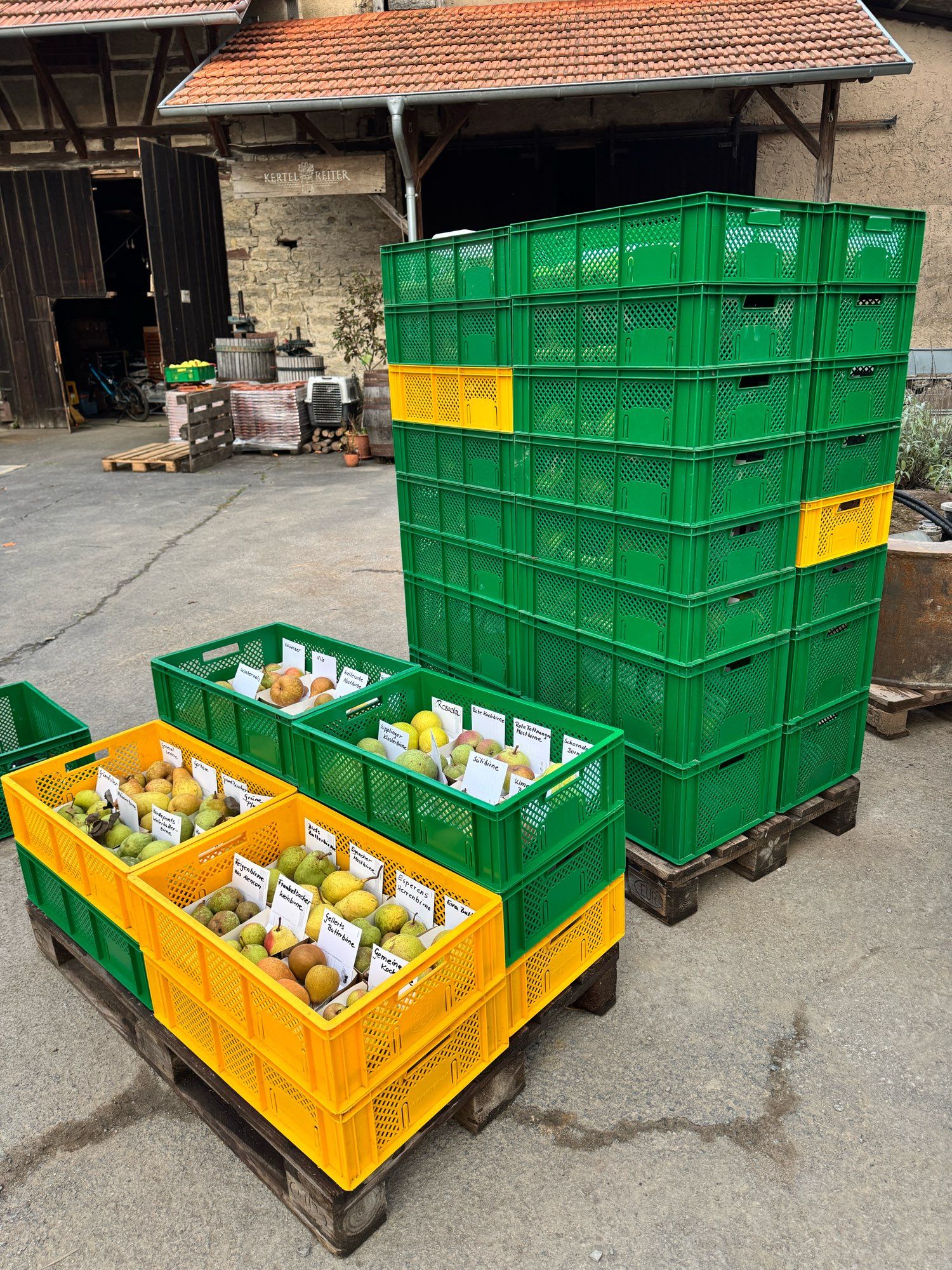 Two pallets, the one on the right stacked with 32 fruit crates filled with apples and one on the left with a measly 10 crates with pears