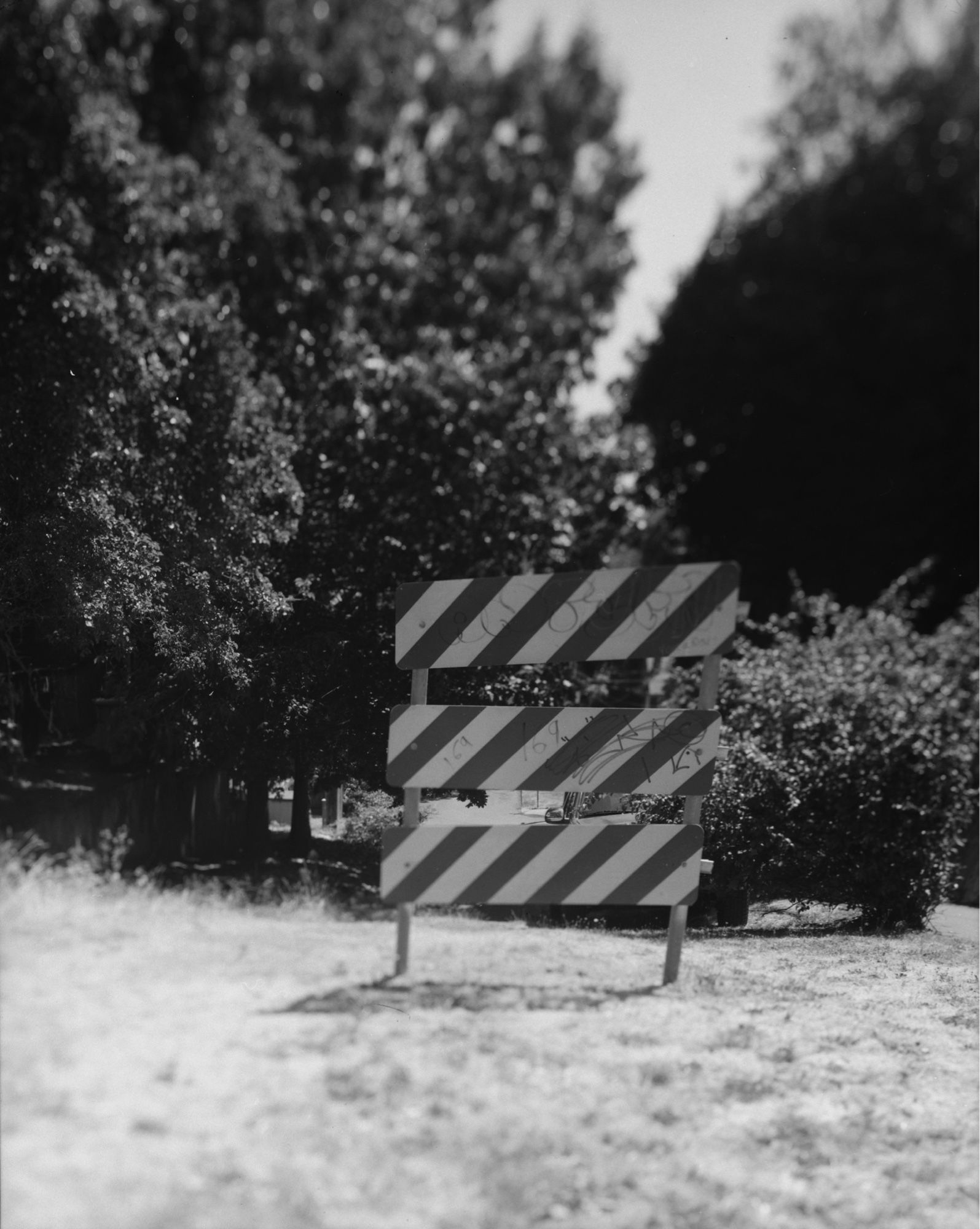 A distorted black and white photograph of do-not-enter candy stripes where a road abruptly gives way to friable and inflammable grass. The geometry is wrong: parallel lines converge and diverge. A foot beaten path fades to indistinct whiteness inside the distortion, the treetops become indistinct dark shadows and blend with the grey sky.