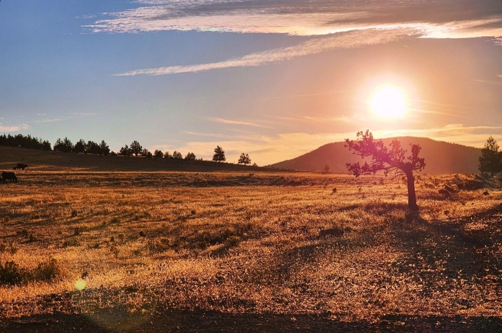 Sunset in the desert.