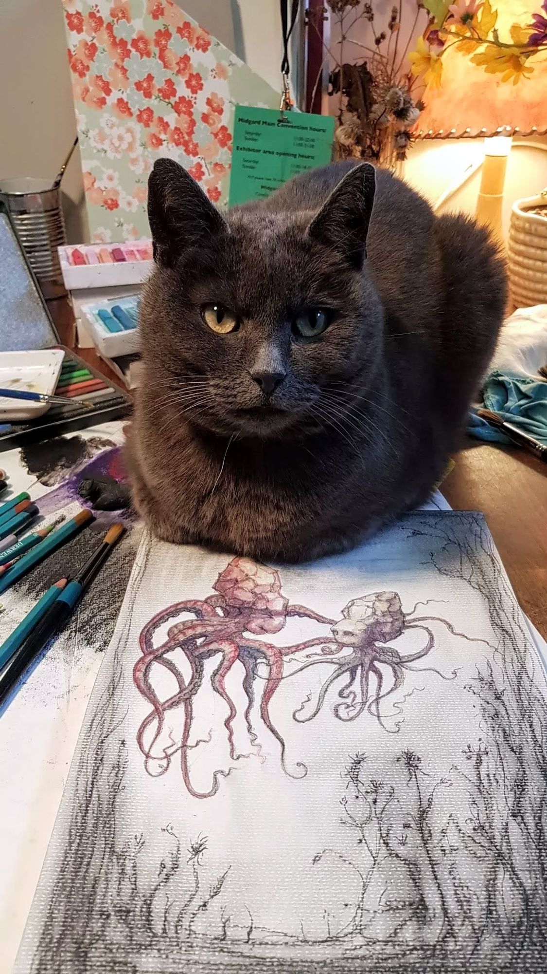 A photograph of a gray cat sitting on a wooden sesk, on a white paper with an illustration of two octopuses, in black and pink. Art pencils and art supplies scattered around.