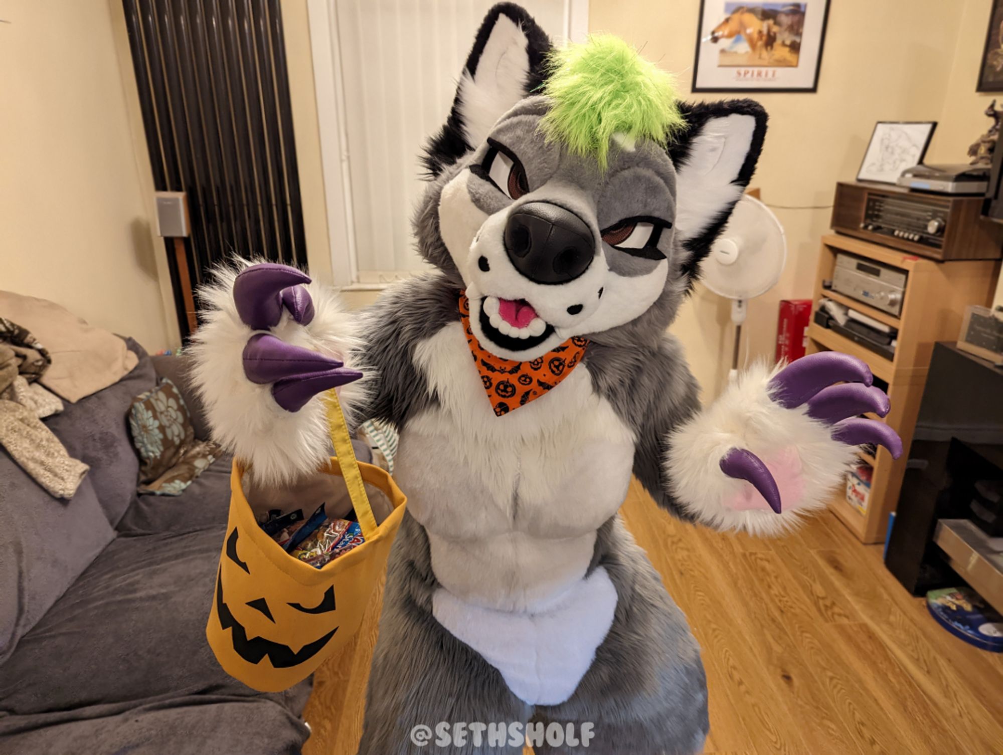 Image of a grey and white werewolf fursuit, with green hair, long purple claws and black ears, standing inside a front living room with wooden flooring.
They are holding a fabric pumpkin basket for Trick of Treating and wearing a pumpkin bandanna, their basket has a few sweets inside. But it wasn't enough to contain the beast. With their claws out & basket not full, they're looking for another bite to eat...

The text reads "@SethSholf"