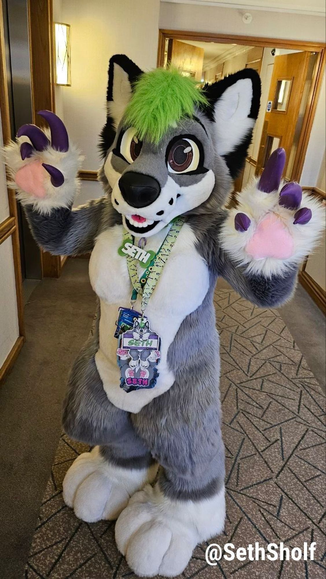 Photo of a grey and white wolf dog fursuit with green hair and black ears standing in a hotel lobby, near the lifts/elevators. They are wearing multiple "badges" featuring themselves and their name "Seth" on lanyards around their neck, including a green fabric collar and a green 3d printed bone name tag which says "Seth" and an invisible disabilities lanyard with their con tag.

They're looking towards the camera with a smiley expression, paws held up and claws splayed (this is a take on their kaiju form, so they have purple claws and a single pink paw pad- Still need the tail and spikes to be made though!)
The text in the bottom right reads "@SethSholf".