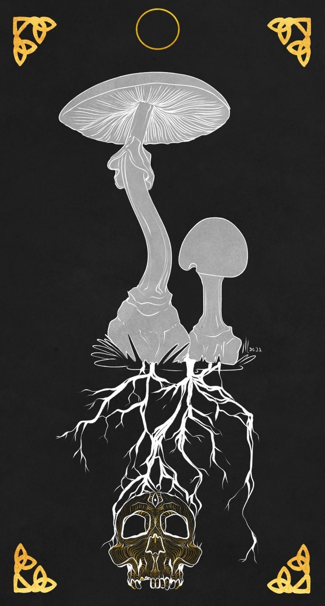 Two Amanita bisporigera - Destroying Angel mushrooms on a black background. The mycelium is forming a human skull with a third eye.