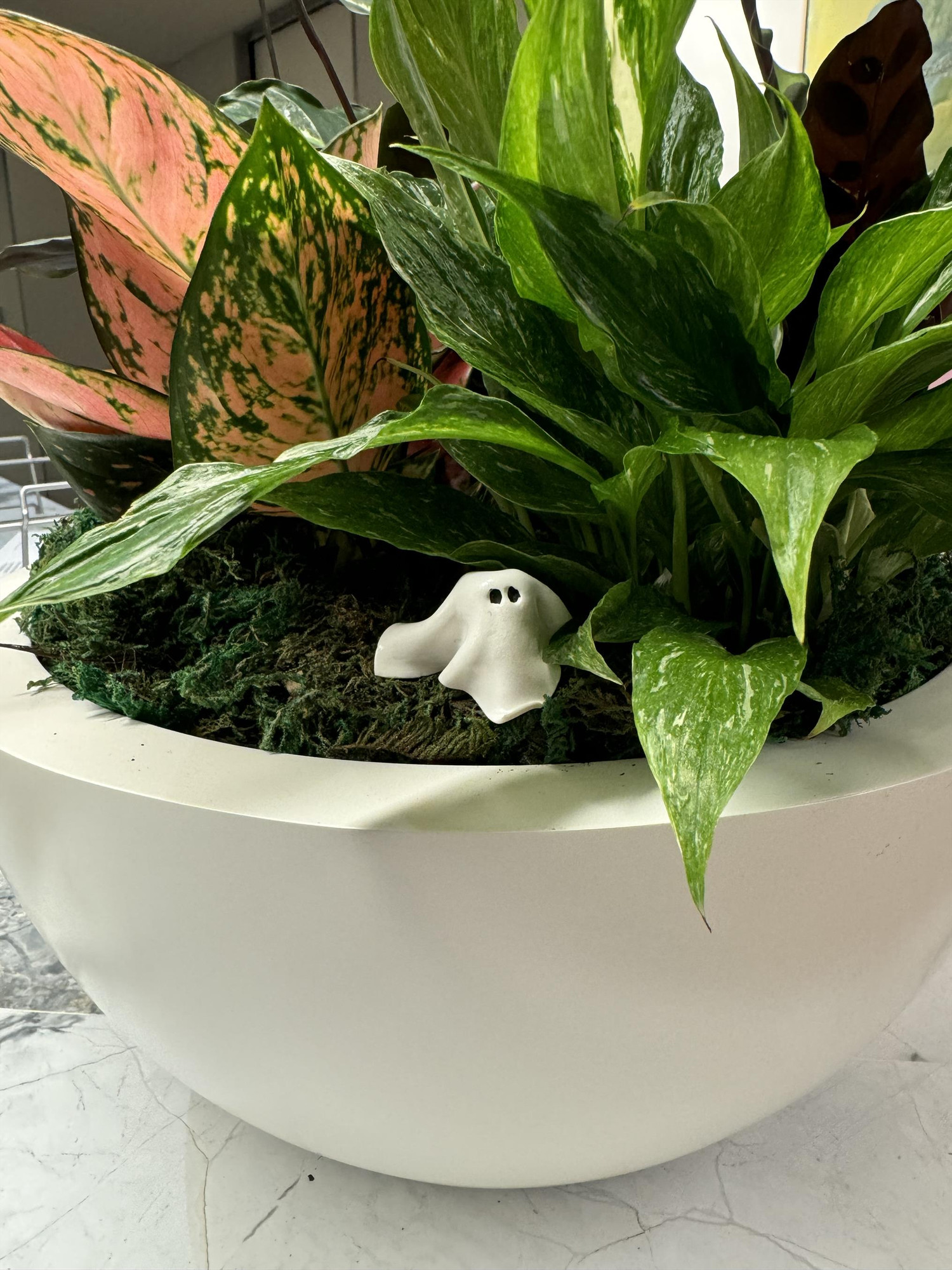 A large potted plant in a white bowl with greenery in the bottom, concealing the dirt. Sitting on the greenery is a polymer clay ghost of the "white sheet covering a person with eye holes cut out" type, about the size of an adult thumb. 