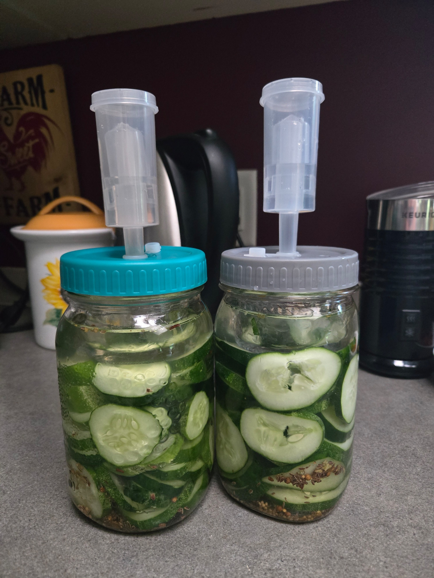 Two canning jars full of sliced cucumbers to ferment for the week which makes fermented pickles. They each have fermenting lid locks on top so air can escape. 