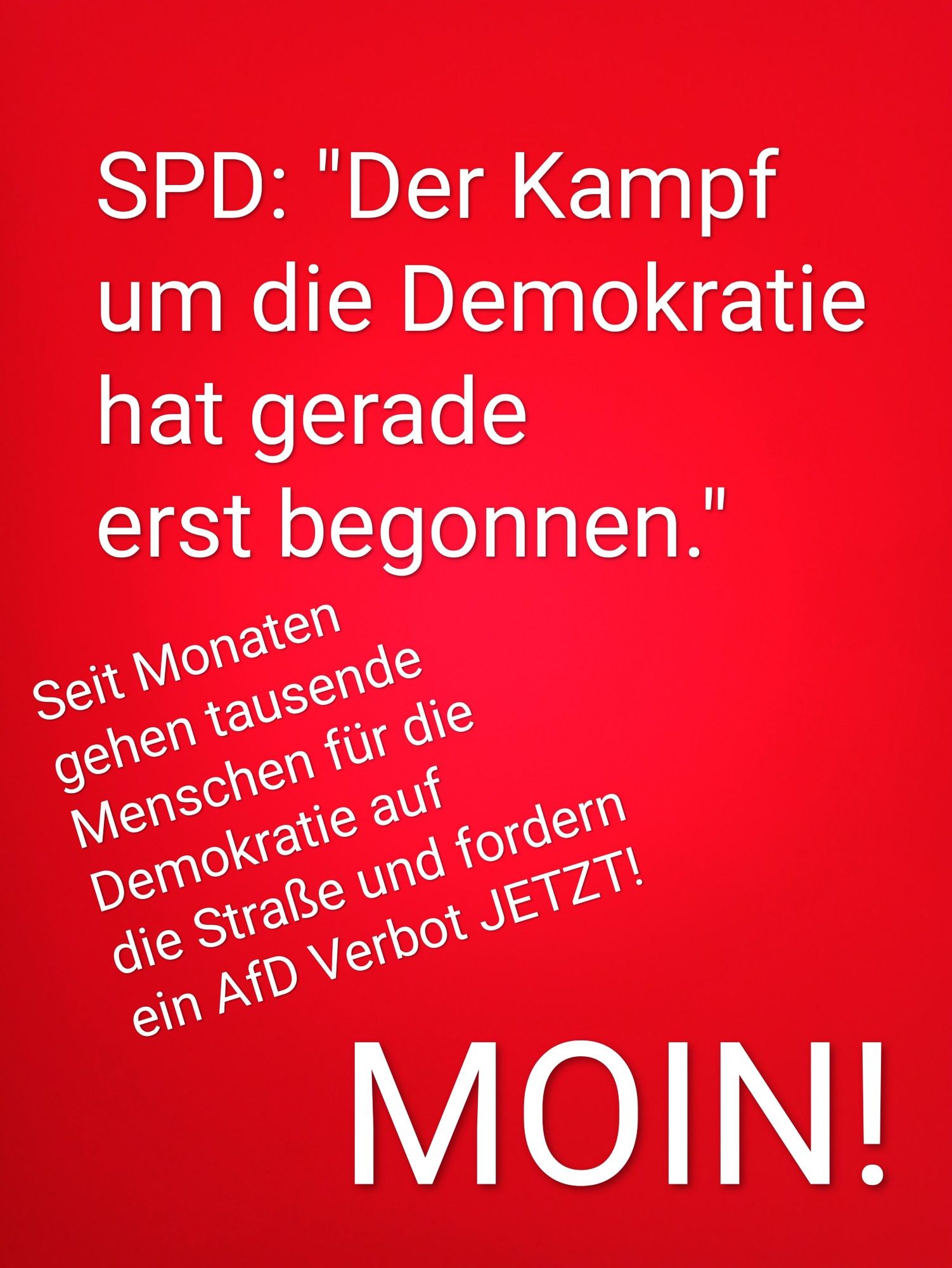 SPD:"Der Kampf um die Demokratie hat gerade erst begonnen". Seit Monaten gehen tausende Menschen für die Dwmokratie auf die Straße und fordern ein AfD Verbot JETZT! MOIN!