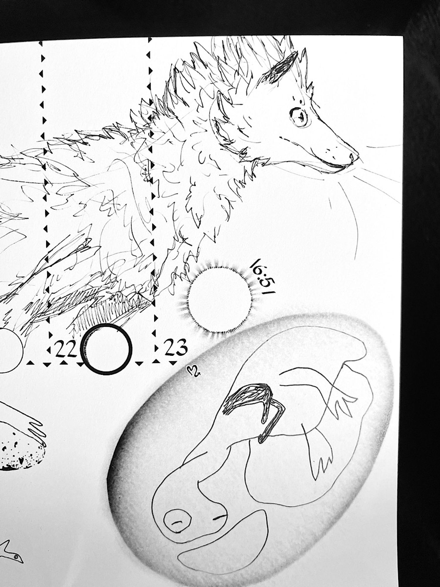 It's a sketch in my lunar tracker calendar of Harold. Today is the 23rd and it is labeled as a full moon. There's a drawing in the corner by the artist who made the lunar calendar; it is an egg with an embryo inside