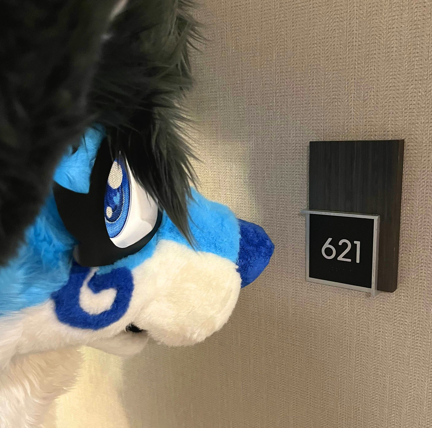 My fursuit head, Stormi 3.0, photographed from a side perspective, staring at a room number that reads "621" at Alamo City Furry Invasion in the main con hotel