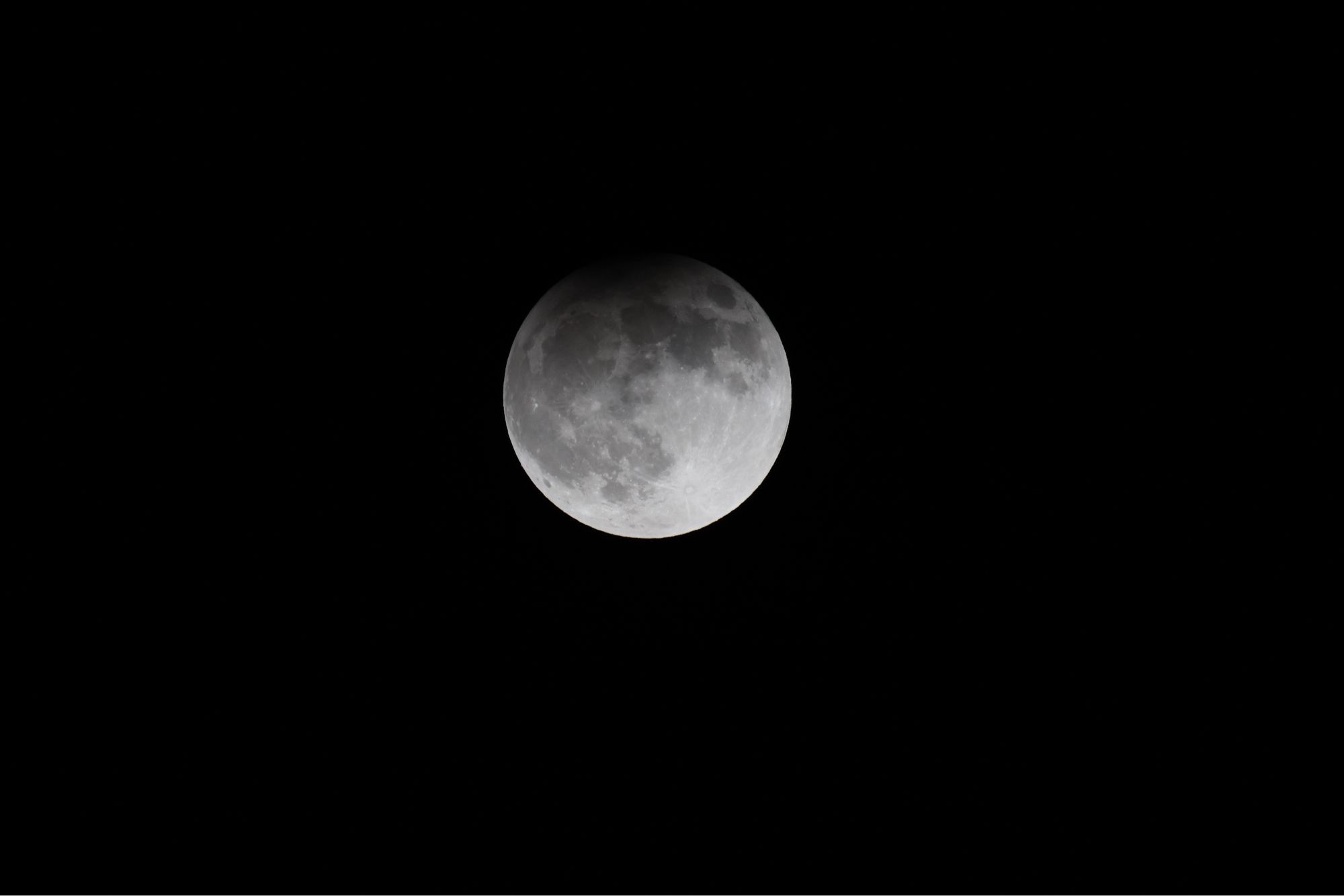 A full moon rising above trees on a hill. The tip of the moon is dark from the earth’s shadow during this partial eclipse. No trees are in view now.