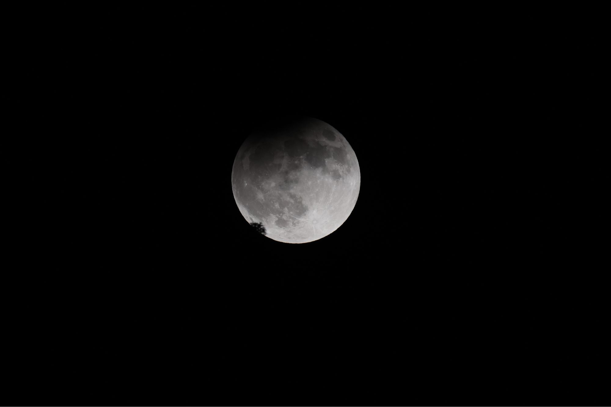 A full moon rising above trees on a hill. The tip of the moon is dark from the earth’s shadow during this partial eclipse.  Only a tiny bit of tree is silhouetted near the bottom of the moon.