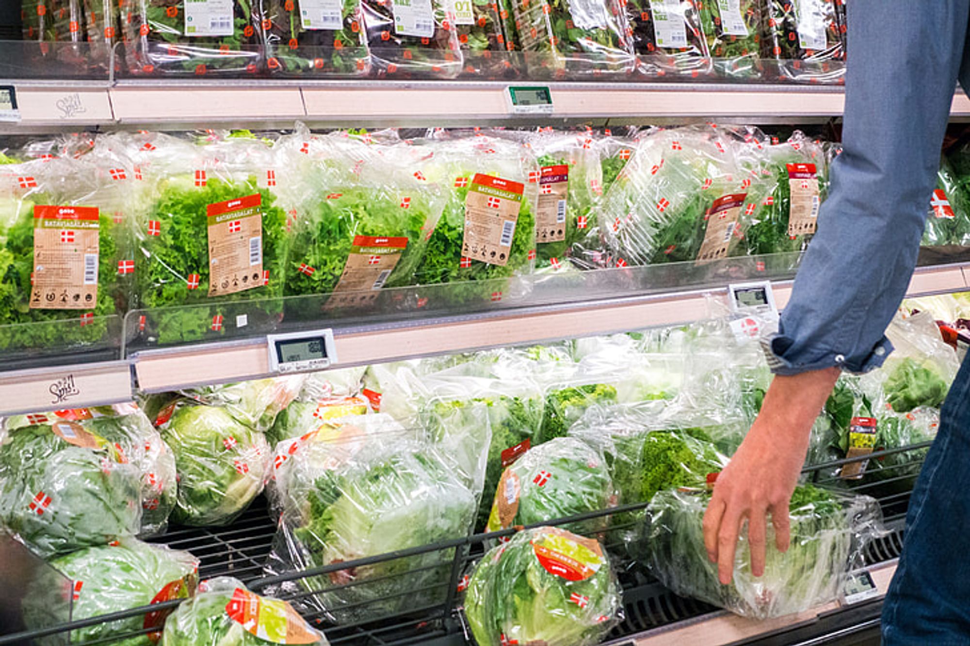 Woman selecting head of lettuce from store display