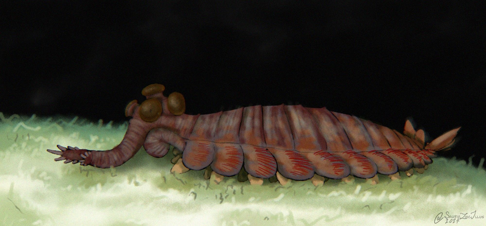 an Opabinia uses its legs to walk across the seafloor at night, it's illuminated by an artificial light coming from behind the camera