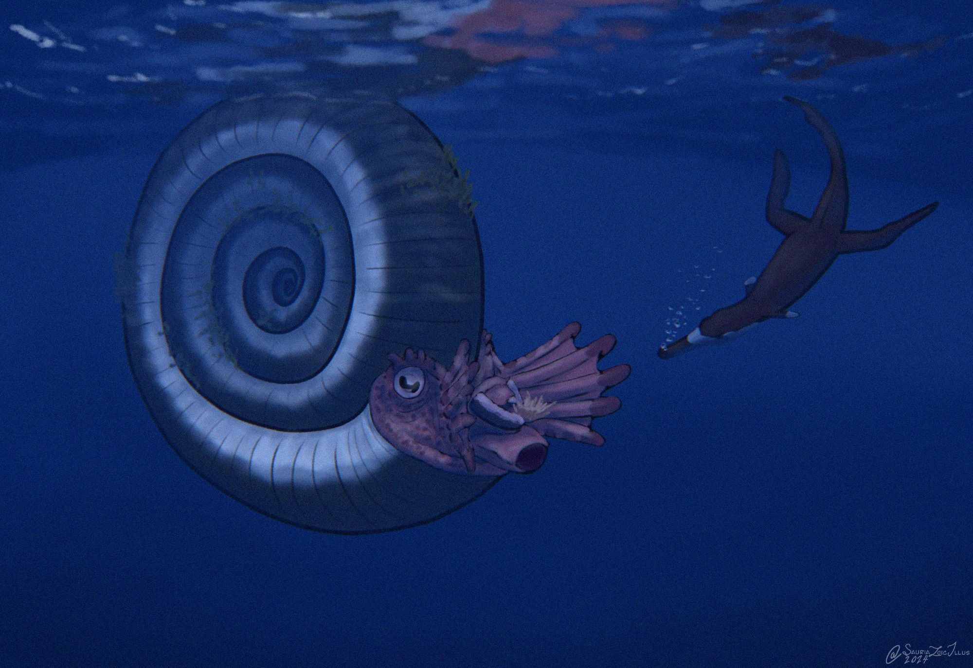 a curious Cricosaurus investigates an old Titanites, the Titanites is using its net-like radular teeth to filter out suspended particles and plankton from the water column (this behaviour is speculative but we do have ammonites with beaks and radular teeth like this)