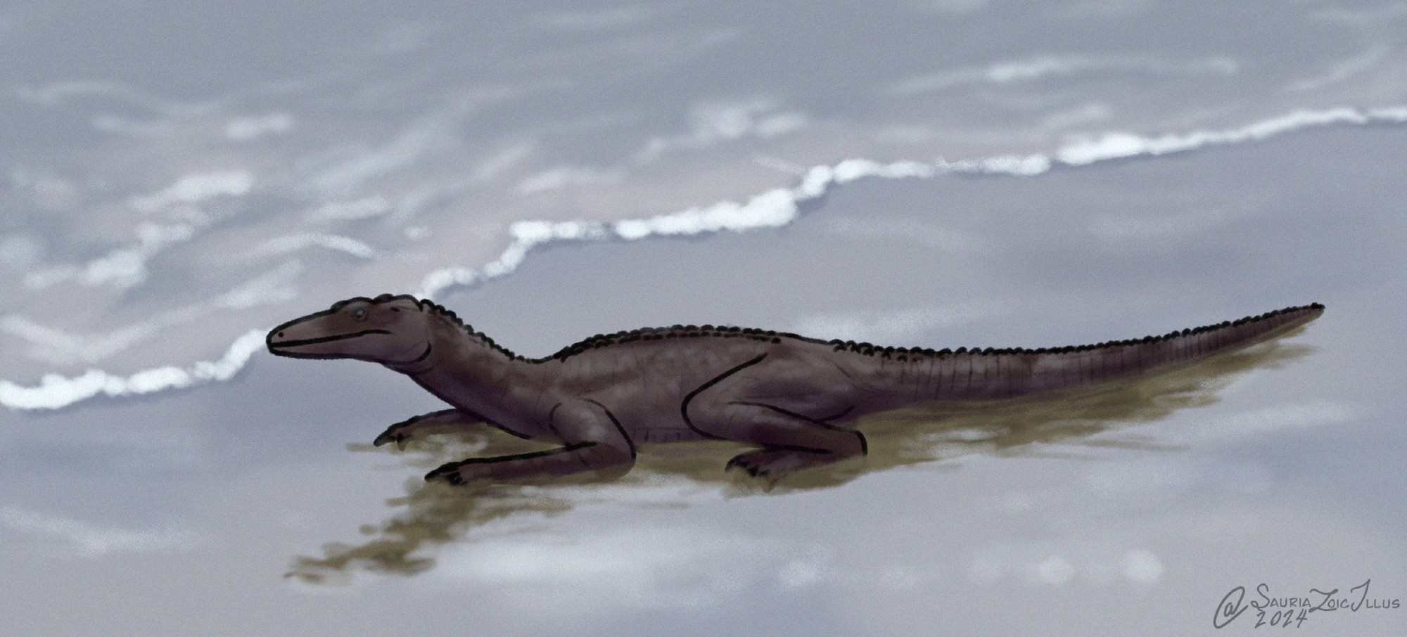 a Benggwigwishingasuchus lays down by the tide of a beach