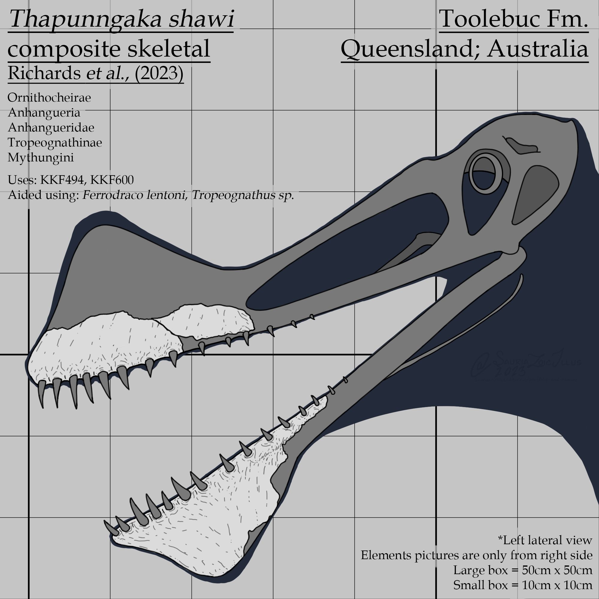 a skull skeletal (skulletal) of Thapunngaka shawi, additional information can be found on the image