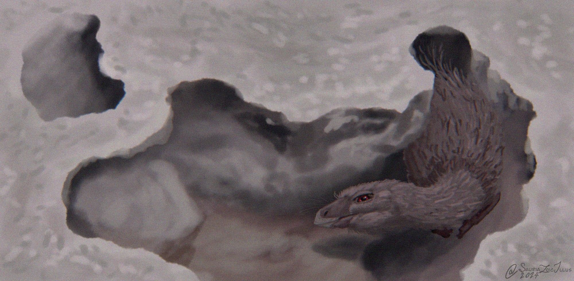 a Fona's burrow became caved in over night, it's in the process of fixing the damage while looking at the camera