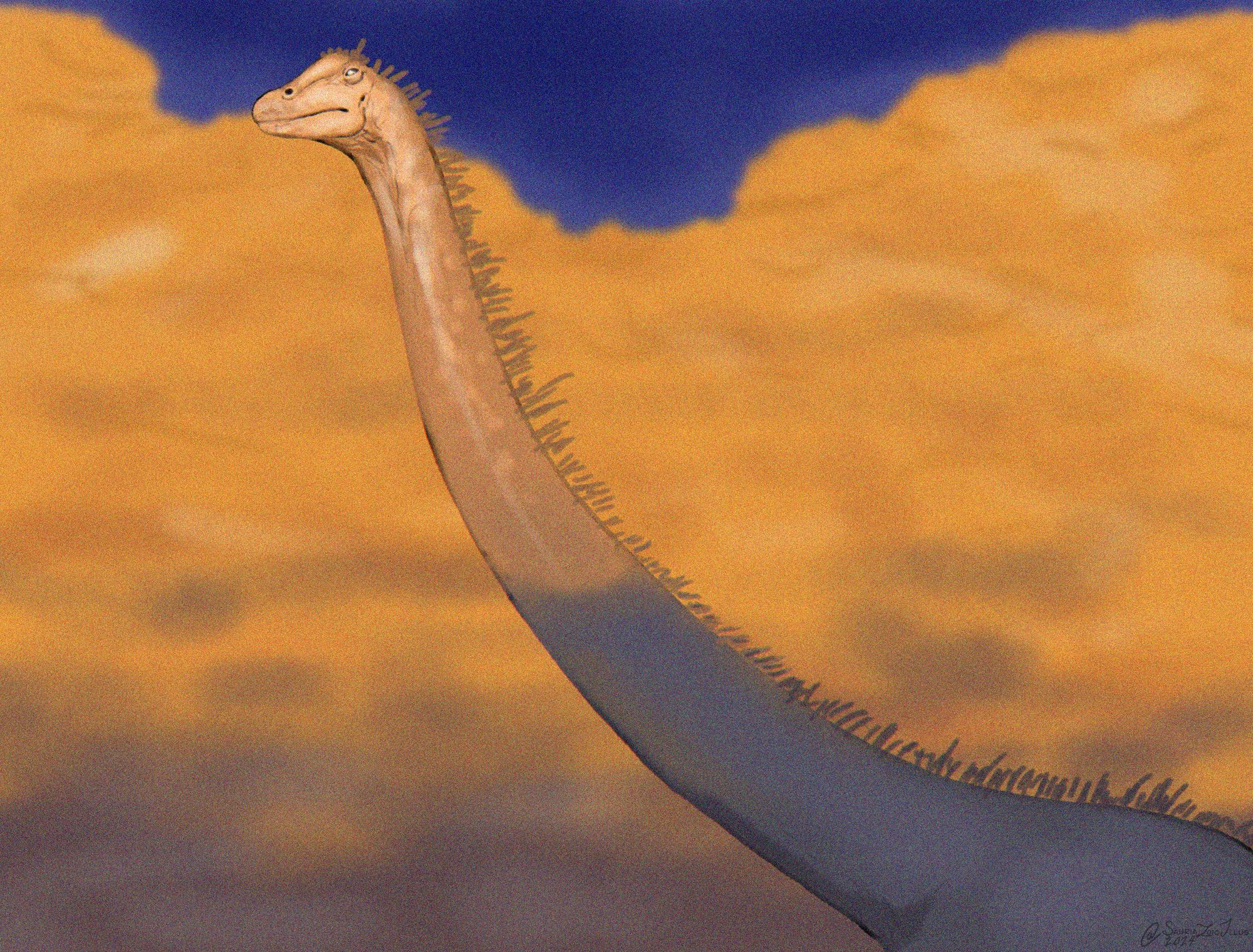 a juvenile Barosaurus looks into a sunrise, a rocky hill behind it is also illuminated by the rising sun