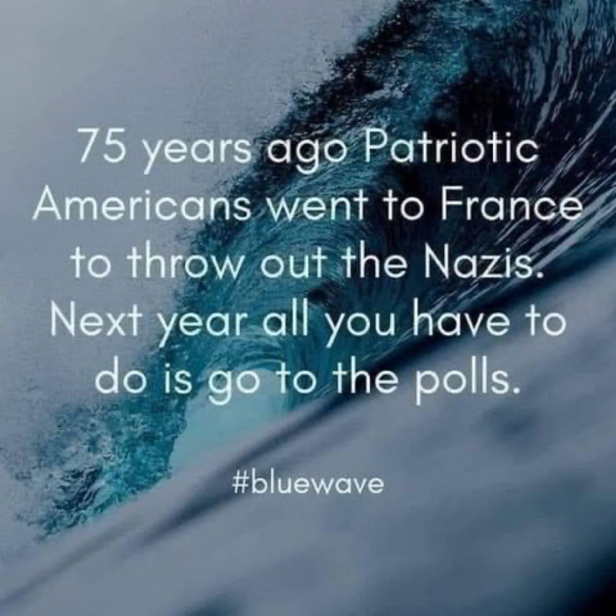 (with a picture of a ocean wave in the background, and this quote: “75 years ago patriotic Americans went to France to throw out the Nazis. Next year all you have to do is go to the polls.” #bluewave