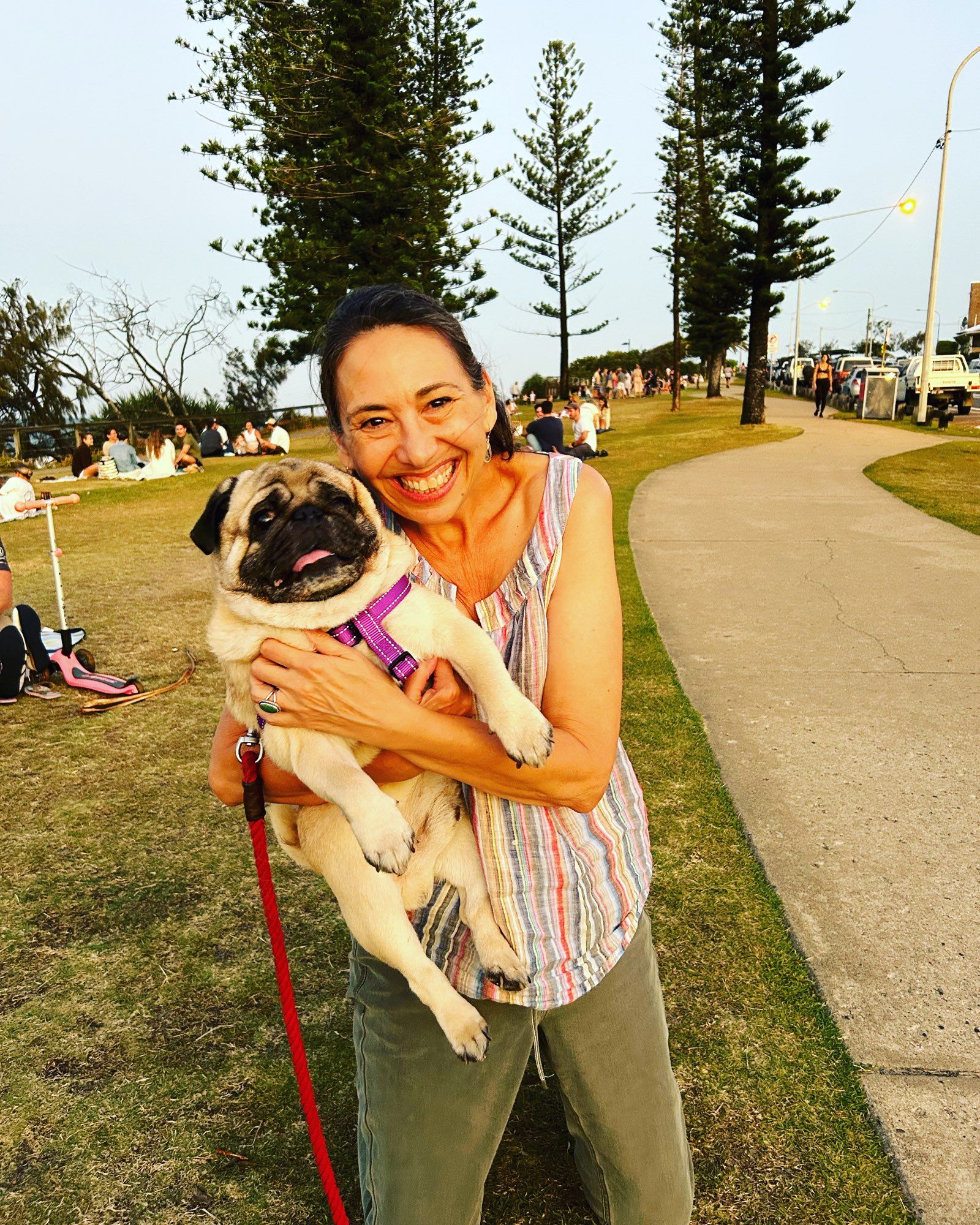 A smiling woman kneels and holds a pug. The lady wears a striped sleeveless top and green pants. The pug’s tongue is out,and the dog’s wearing a purple harness. In the background  there are tall Norfolk pines and a pavement curves into the distance.