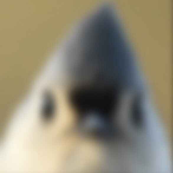 a very out of focus image of a front-facing tufted titmouse, presumably because it was photographed way too close to the lens