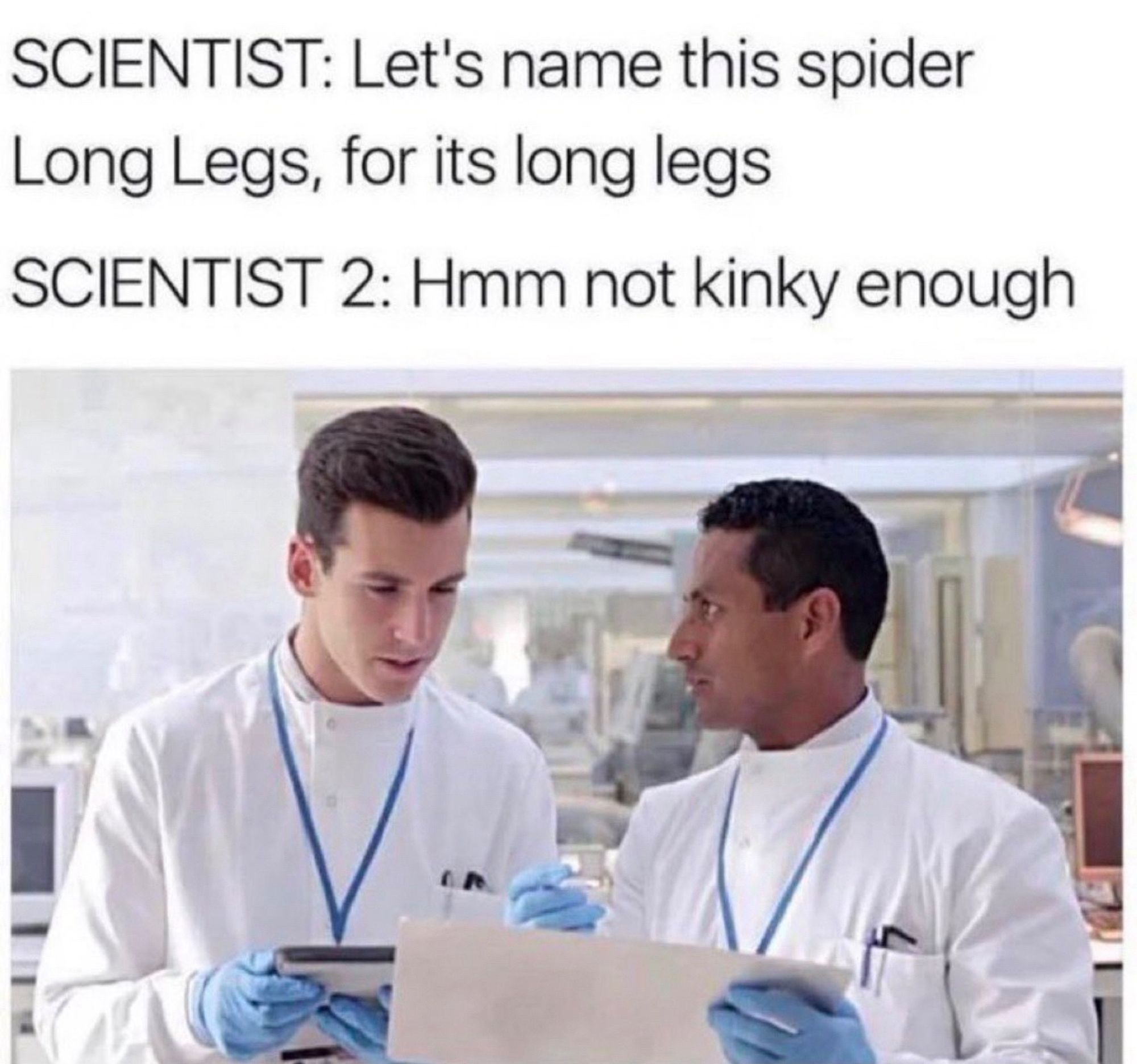 Scientist: let’s name this spider “long legs”, for its long legs. 

Scientist 2: hmm, not kinky enough. 