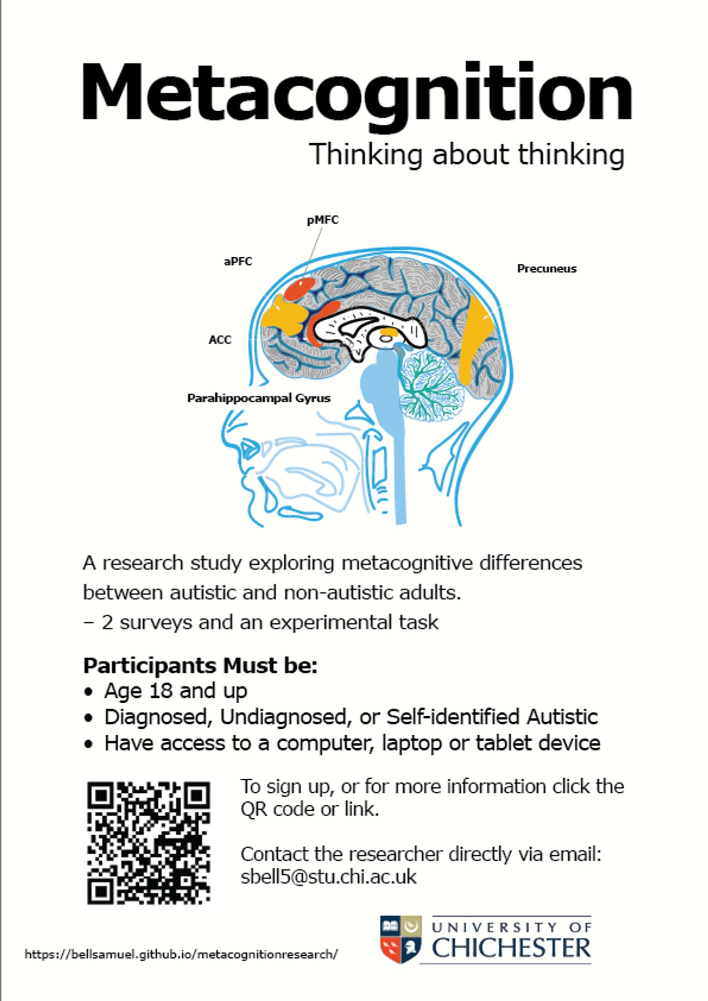 A poster advertising a psychology study into metacognition