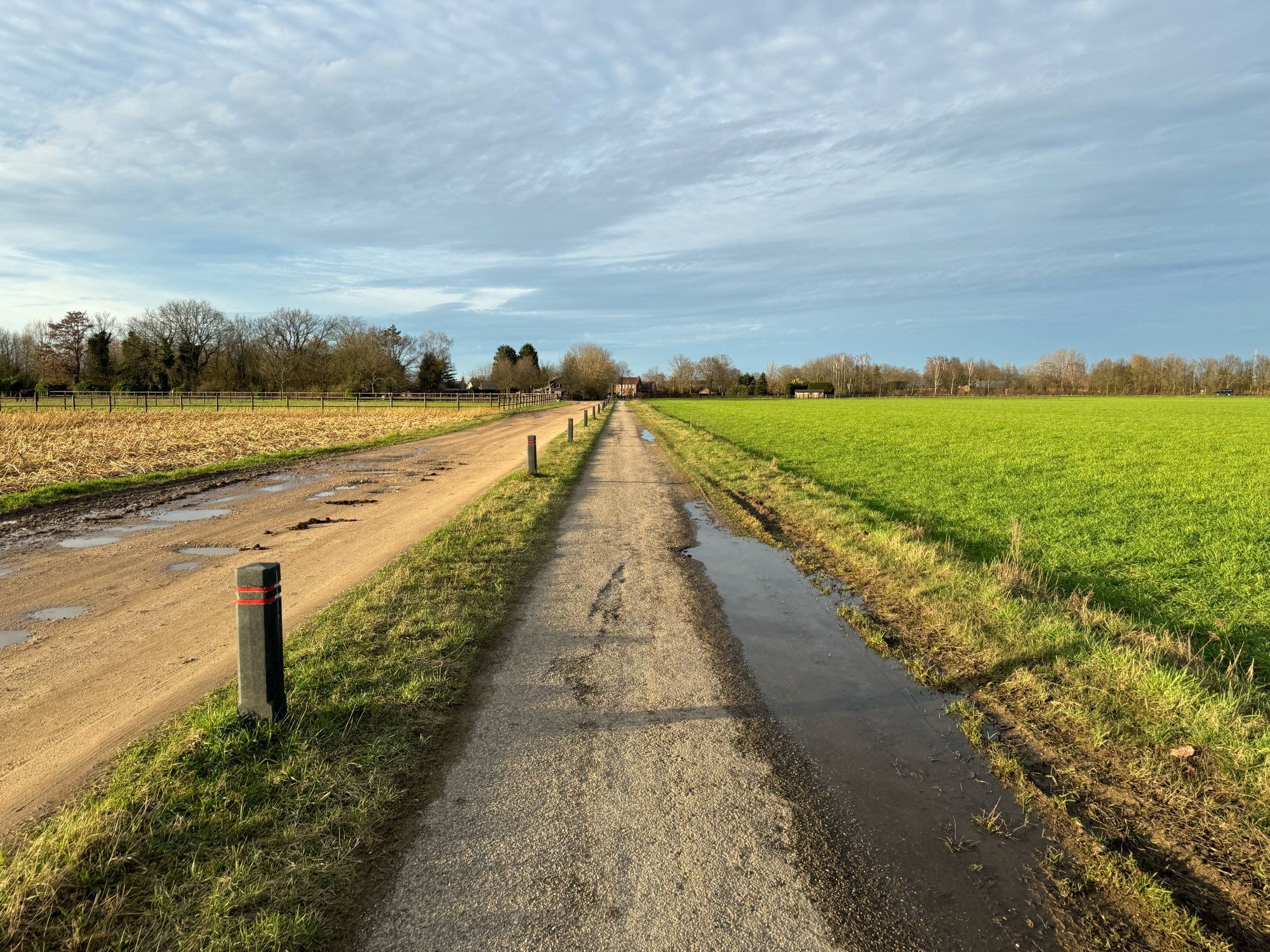 Photo von Fahrradweg zwischen Feldern