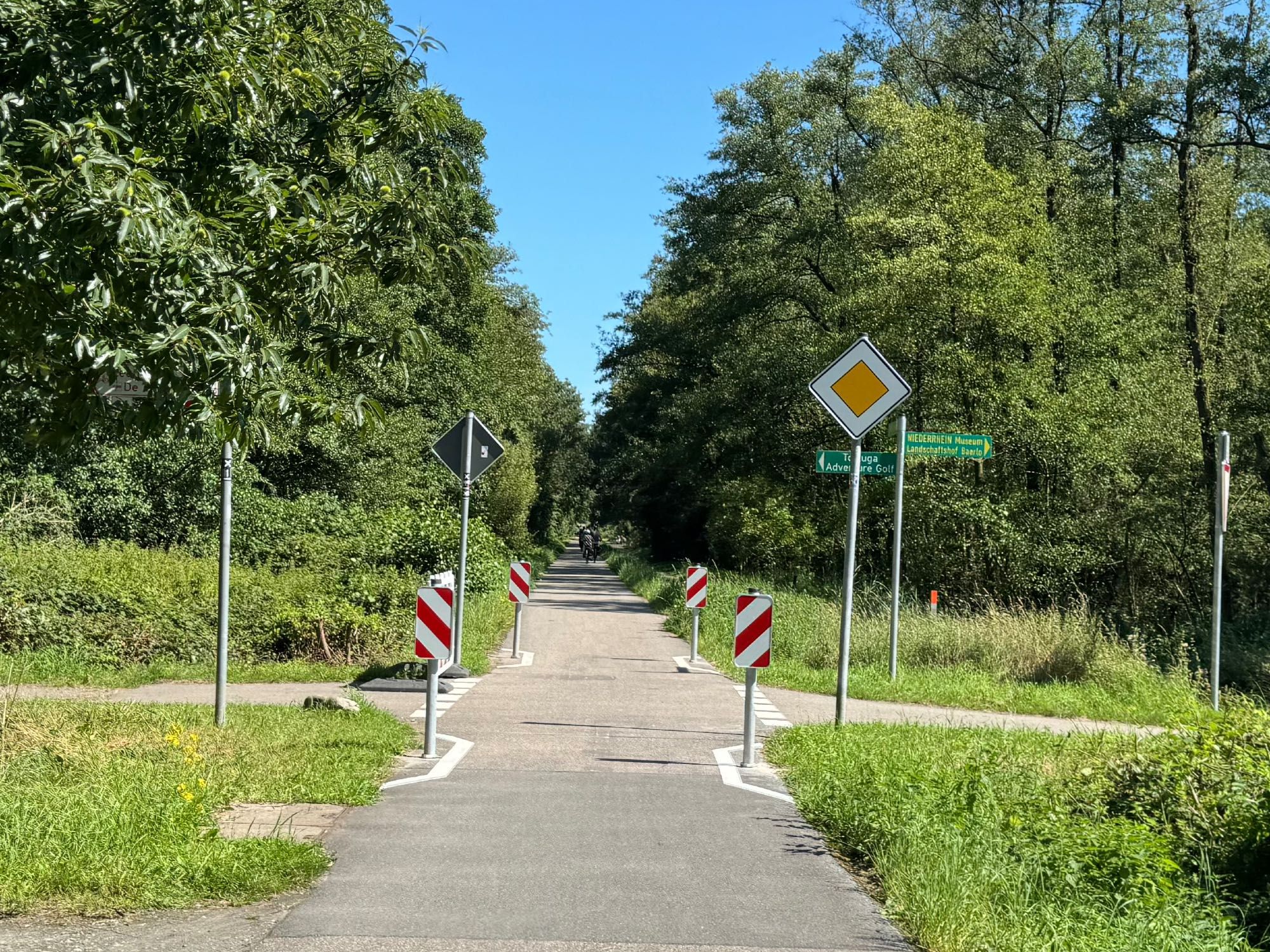 Blick von einem Fahrradweg auf einen kreuzenden Wanderweg. Der Fahrradweg hat neuerdings Vorfahrt.