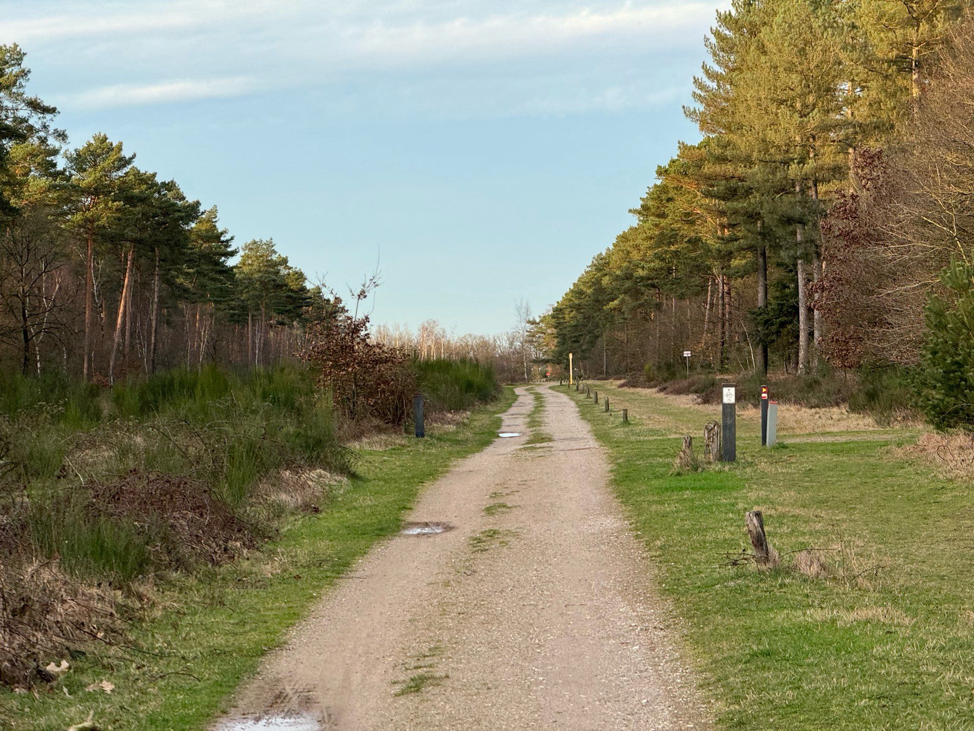 Photo vom Schotterweg im Wald entlang der Grenze DE-NL