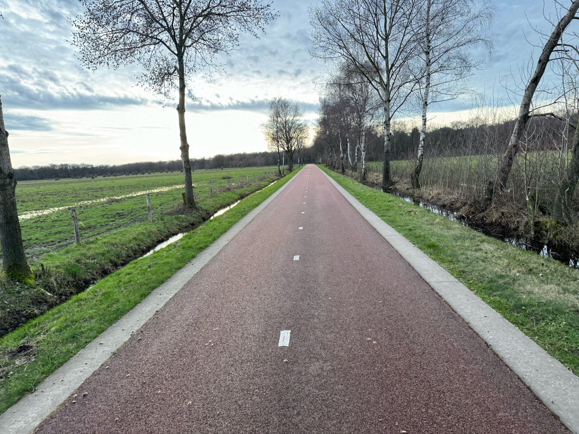 Photo des Wegs durch das Meinweg Naturschutzgebiet