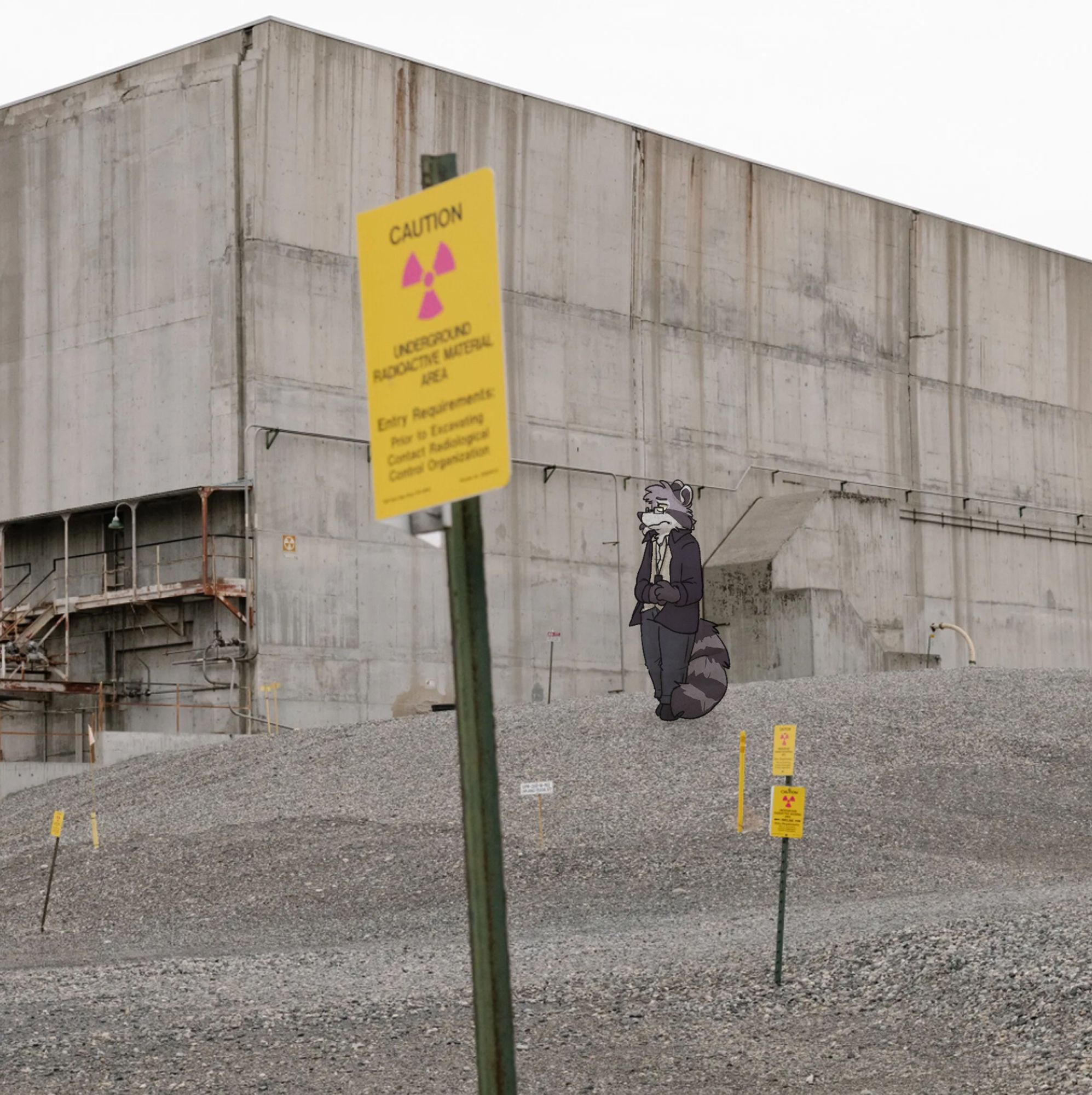 A raccoon standing in front of a decommissioned plutonium finishing plant, with radiation warning signs in the foreground