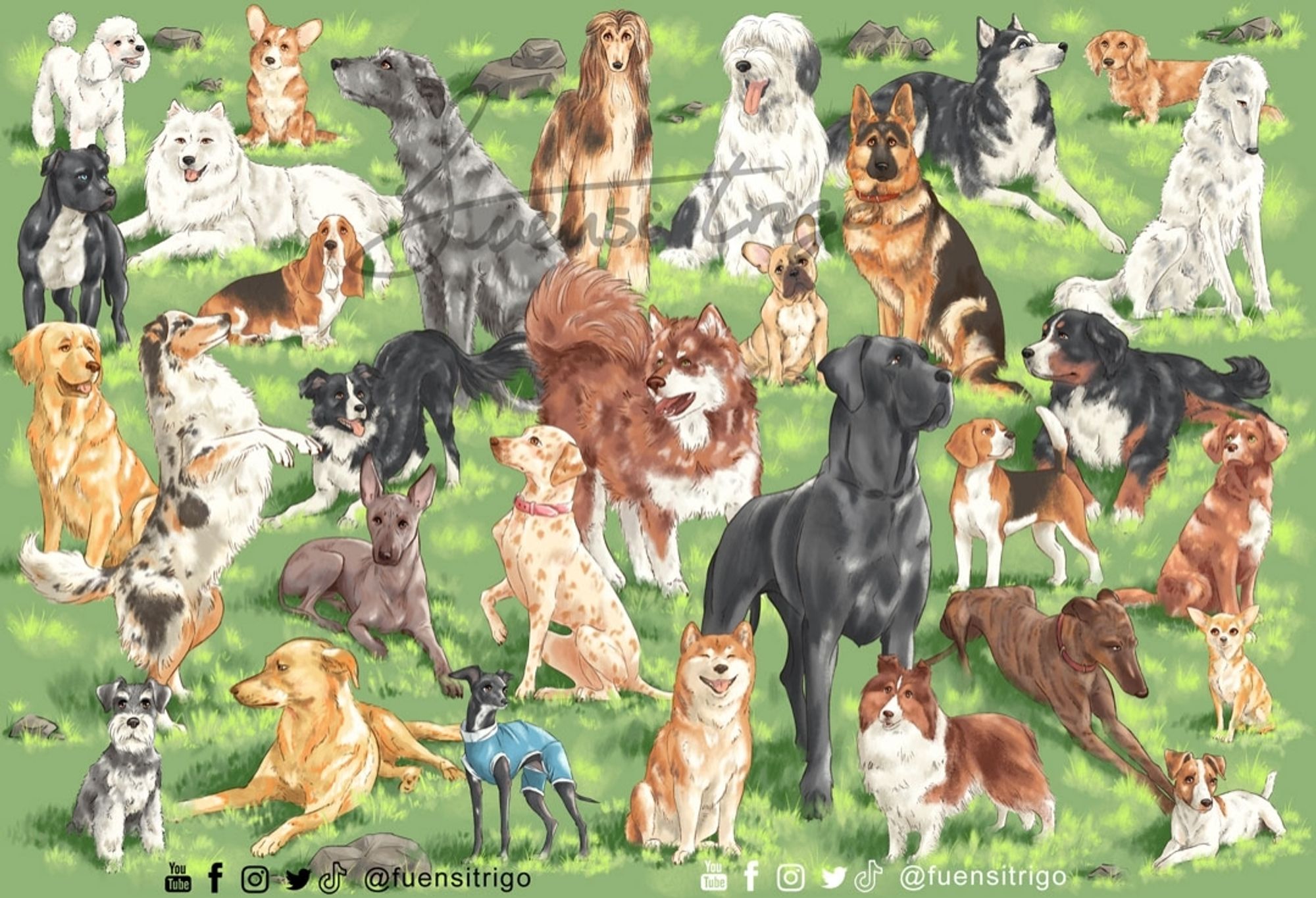 Doggust: a daily challenge in which I drew one dog each day. Collage composed of 31 different dog breeds.