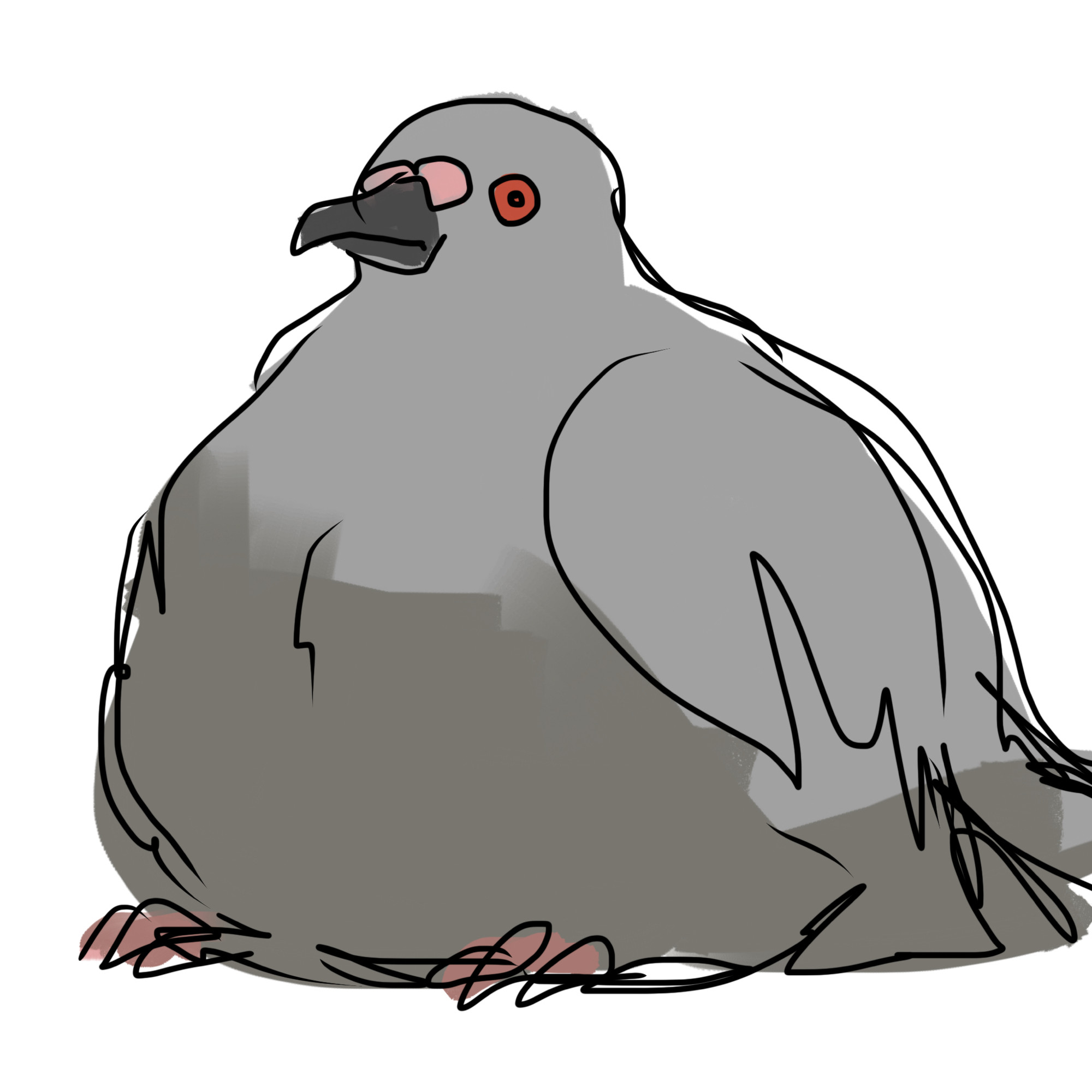 Rough drawing of a round pigeon