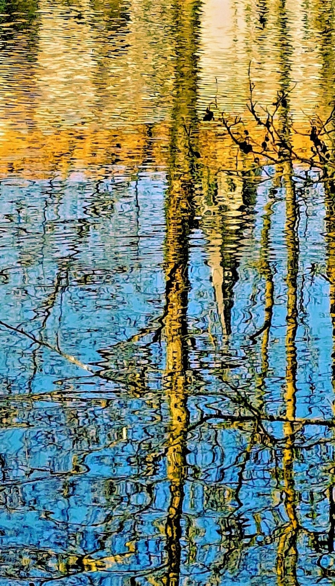 Église et maisons qui se reflètent dans l'eau d'un lac ainsi que végétation. Teinte ocre des bâtiments et troncs d'arbres dans eau bien bleue légèrement agitée par le vent.

Church and houses of a  small village reflected in a pond. The image is slightly distorted due to the wind. Orange buildings and trees, blue water.