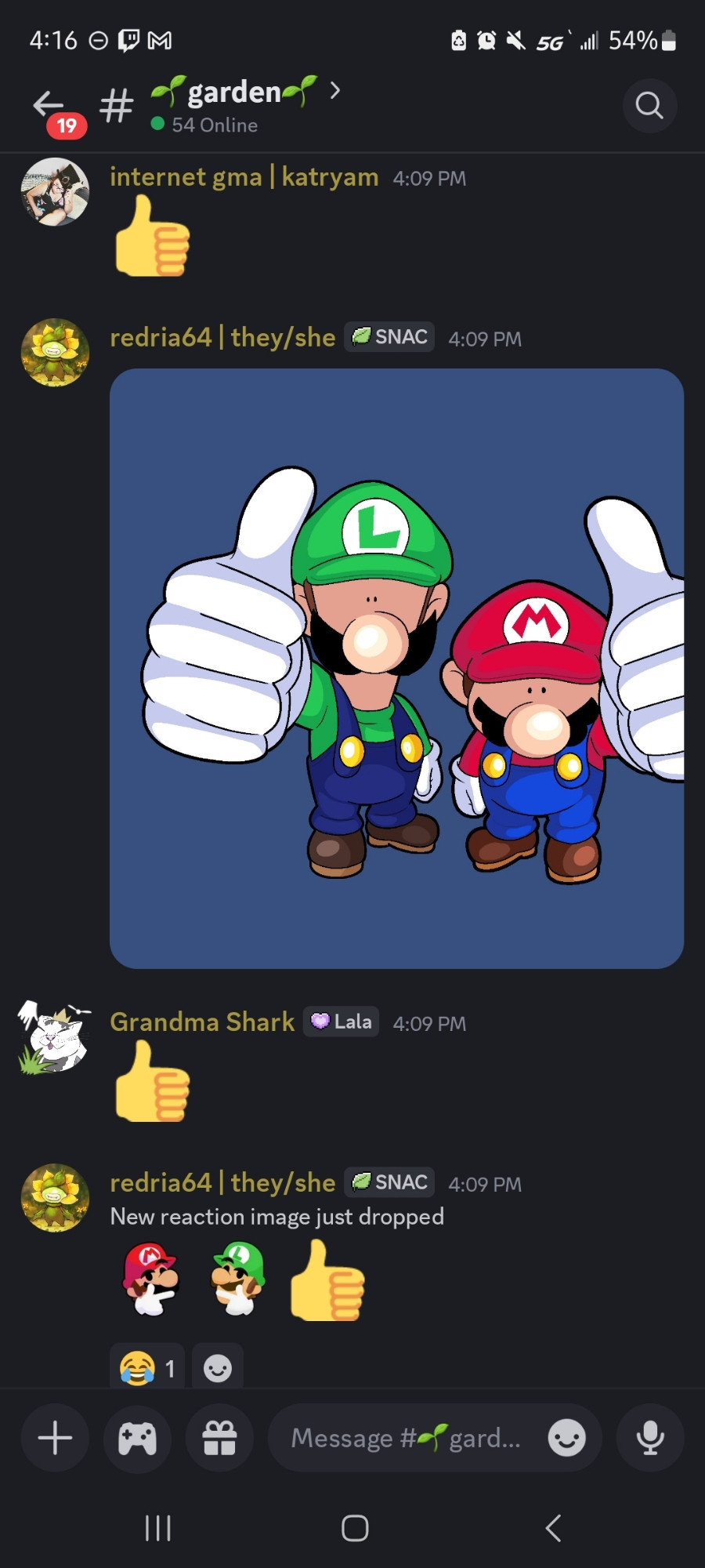 A discord screenshot of a few users giving thumbs up emoji and mario and luigi emoji to an art of mario and luigi giving big thumbs ups