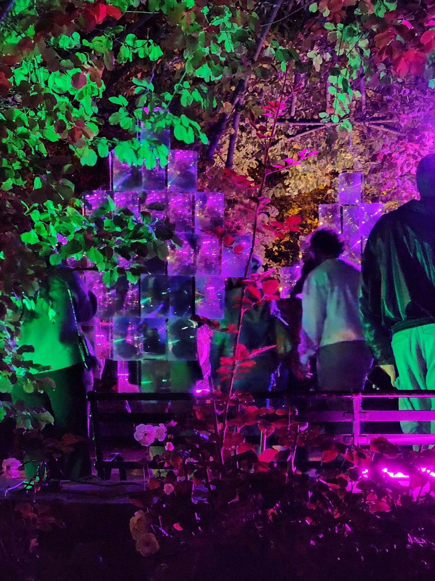 Installation made of refecting mirrors hidden in a canopy of leaves and light with green, yellow, pink and red lights