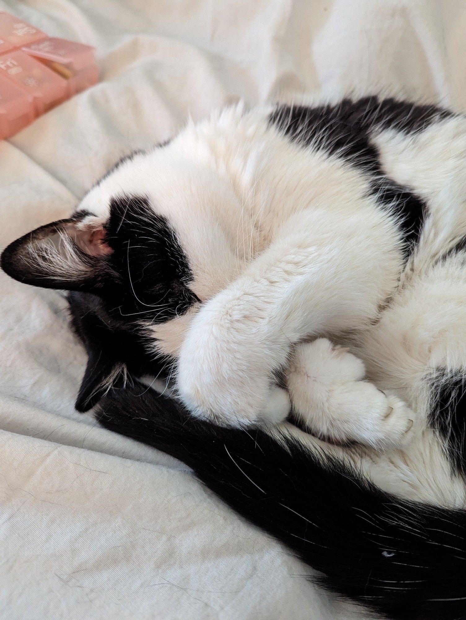 A picture of a sleeping cat covering its face with its paws.